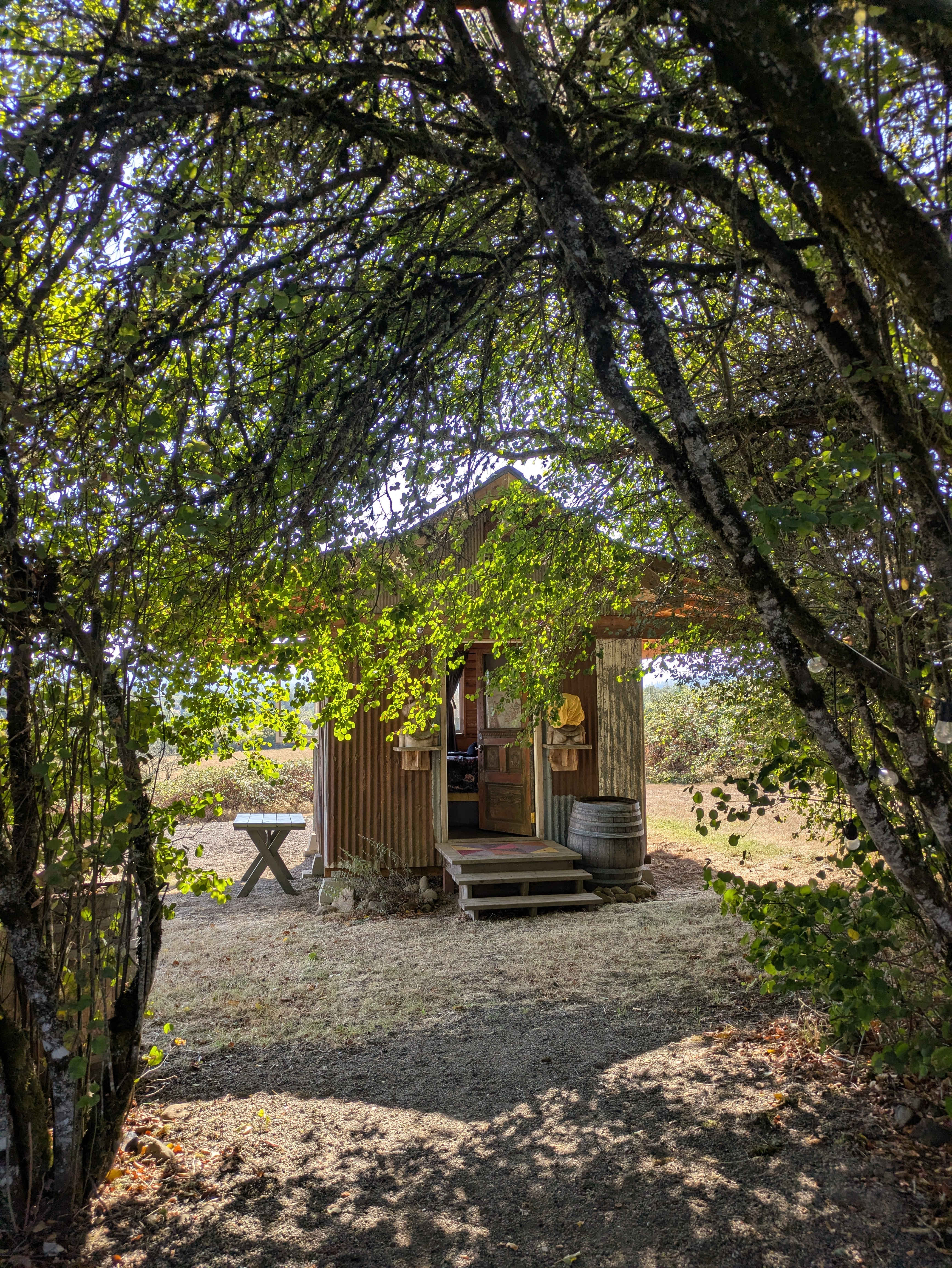Roshambo ArtFarm