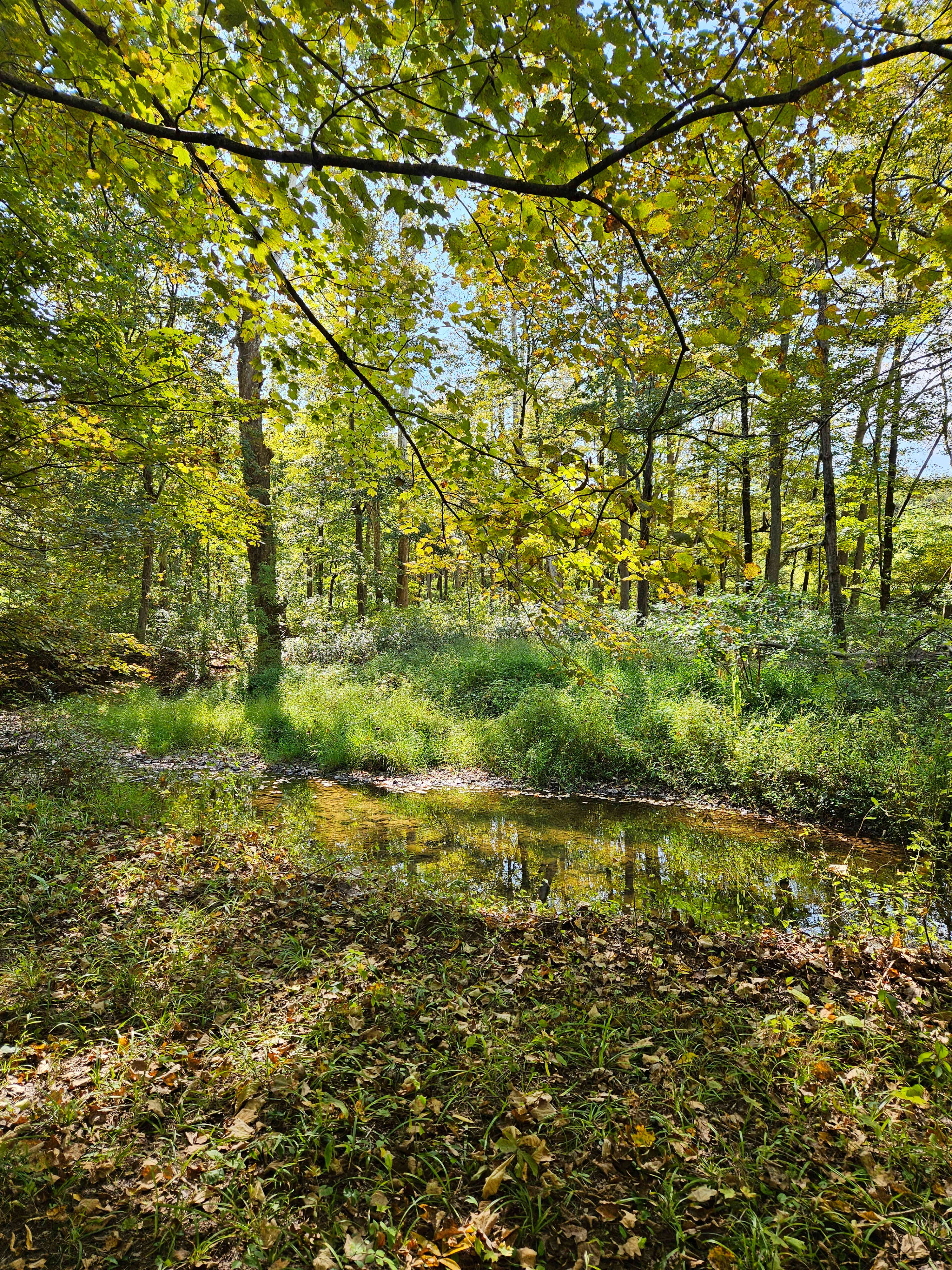 Grampy's Red Rock Rabbit Ranch