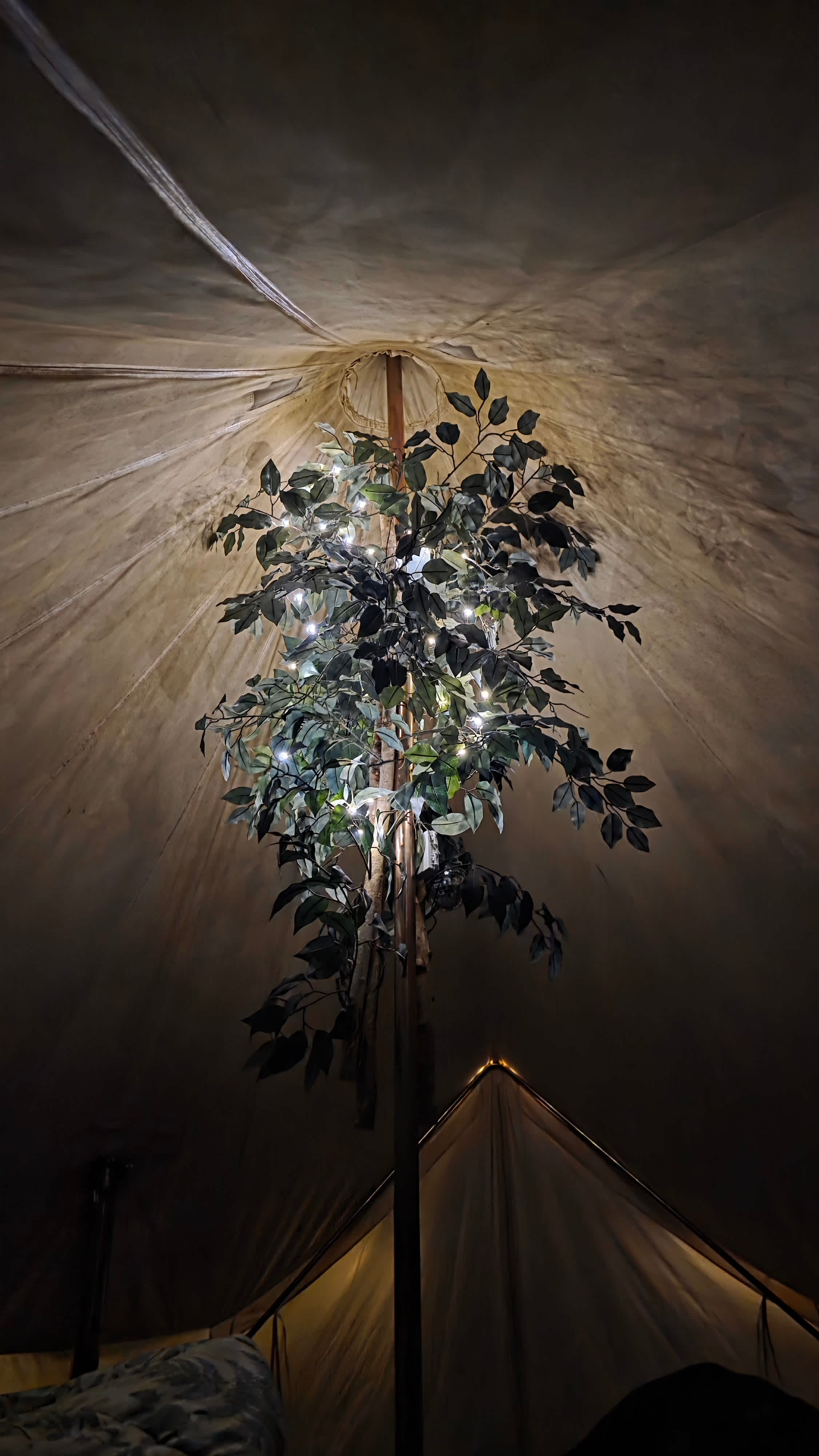 Boulder Chicken Ranch