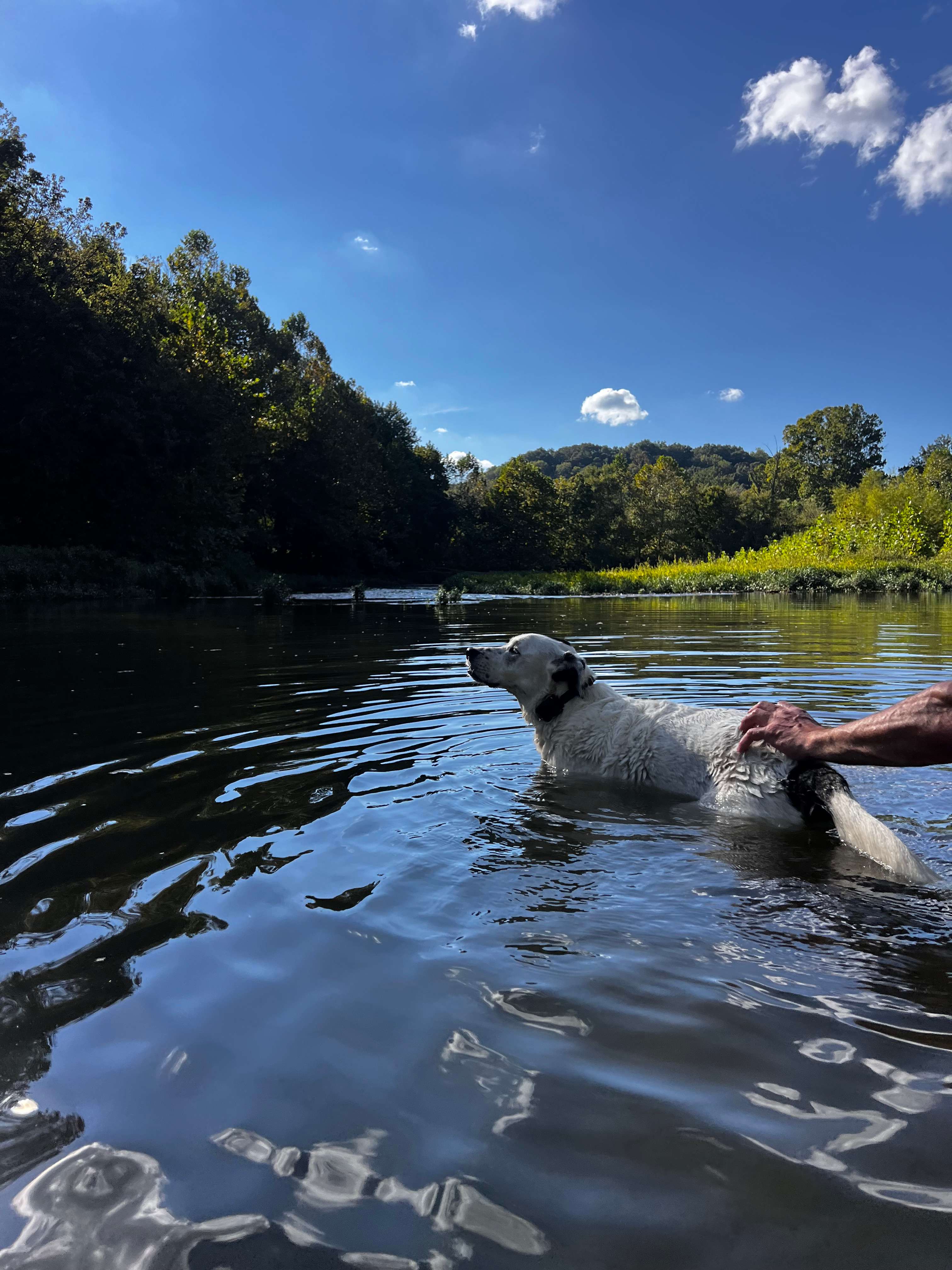 Illinois River Paradise | 60 Acres
