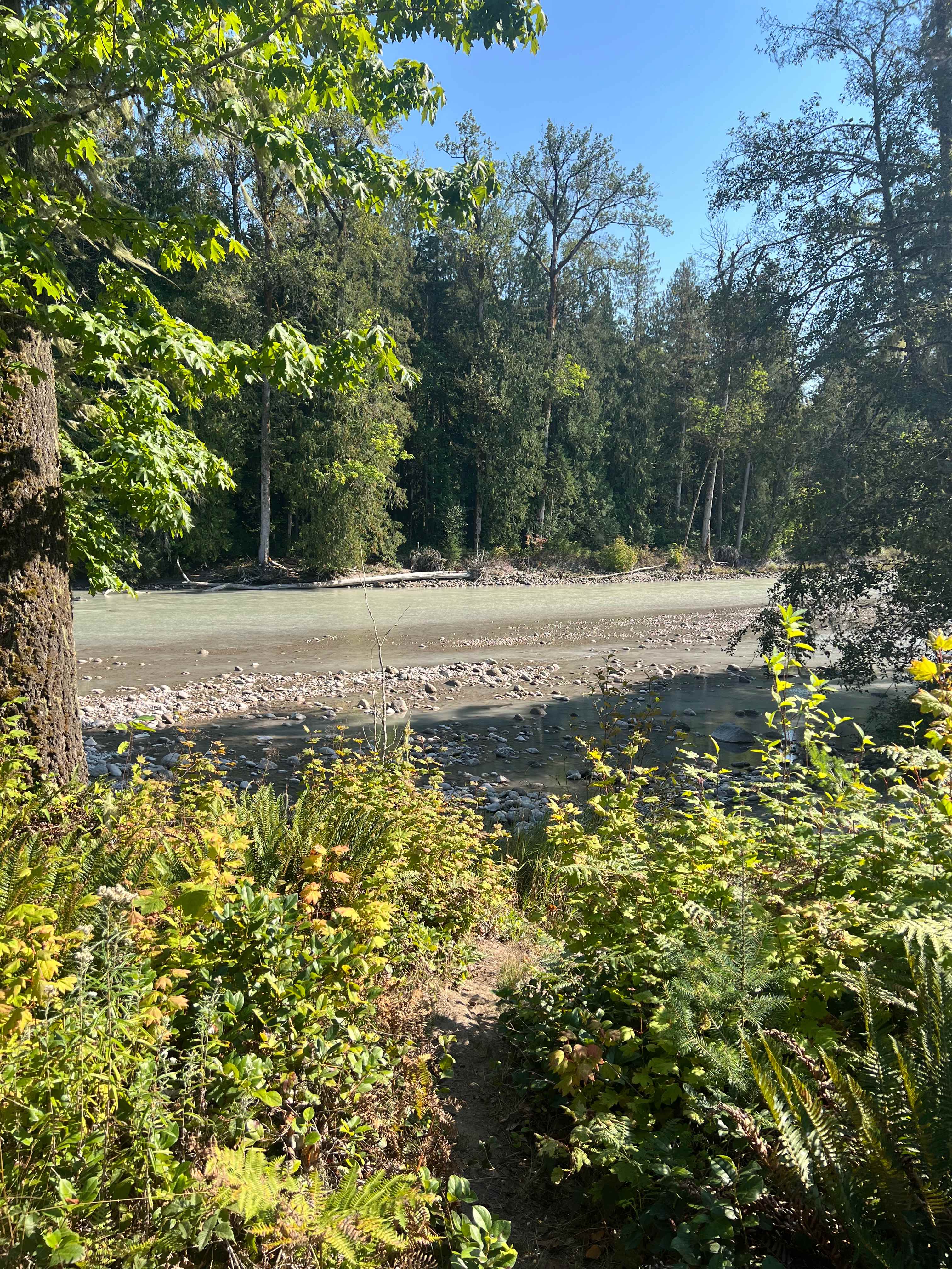 Buster's on the Sauk River