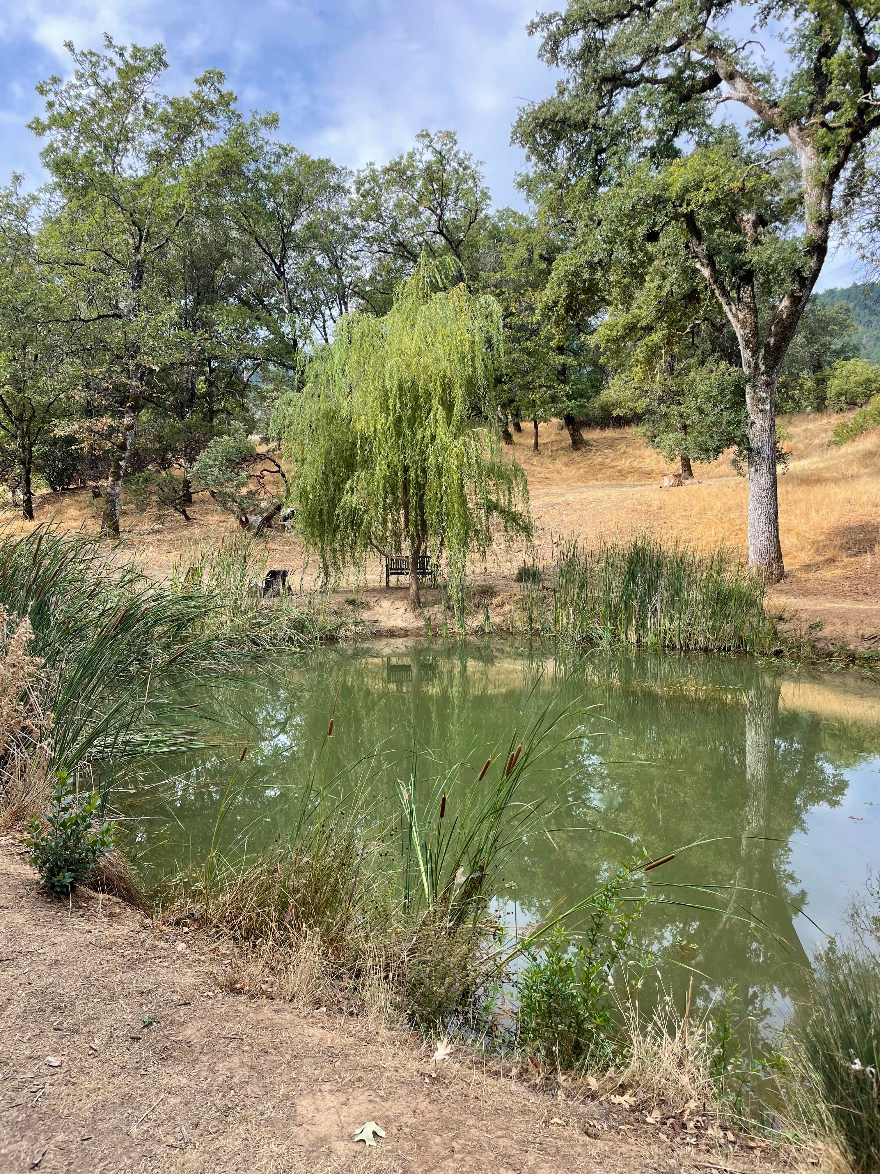 spirit chicken ranch