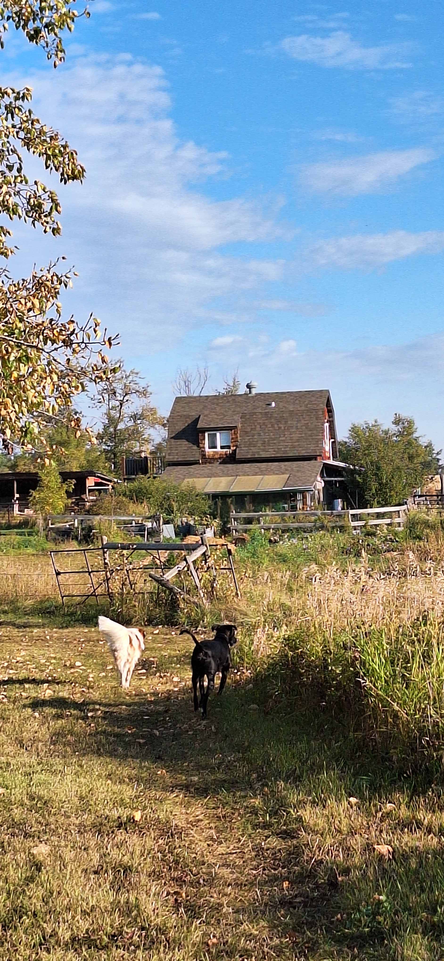 Guillermo and our dog Berny