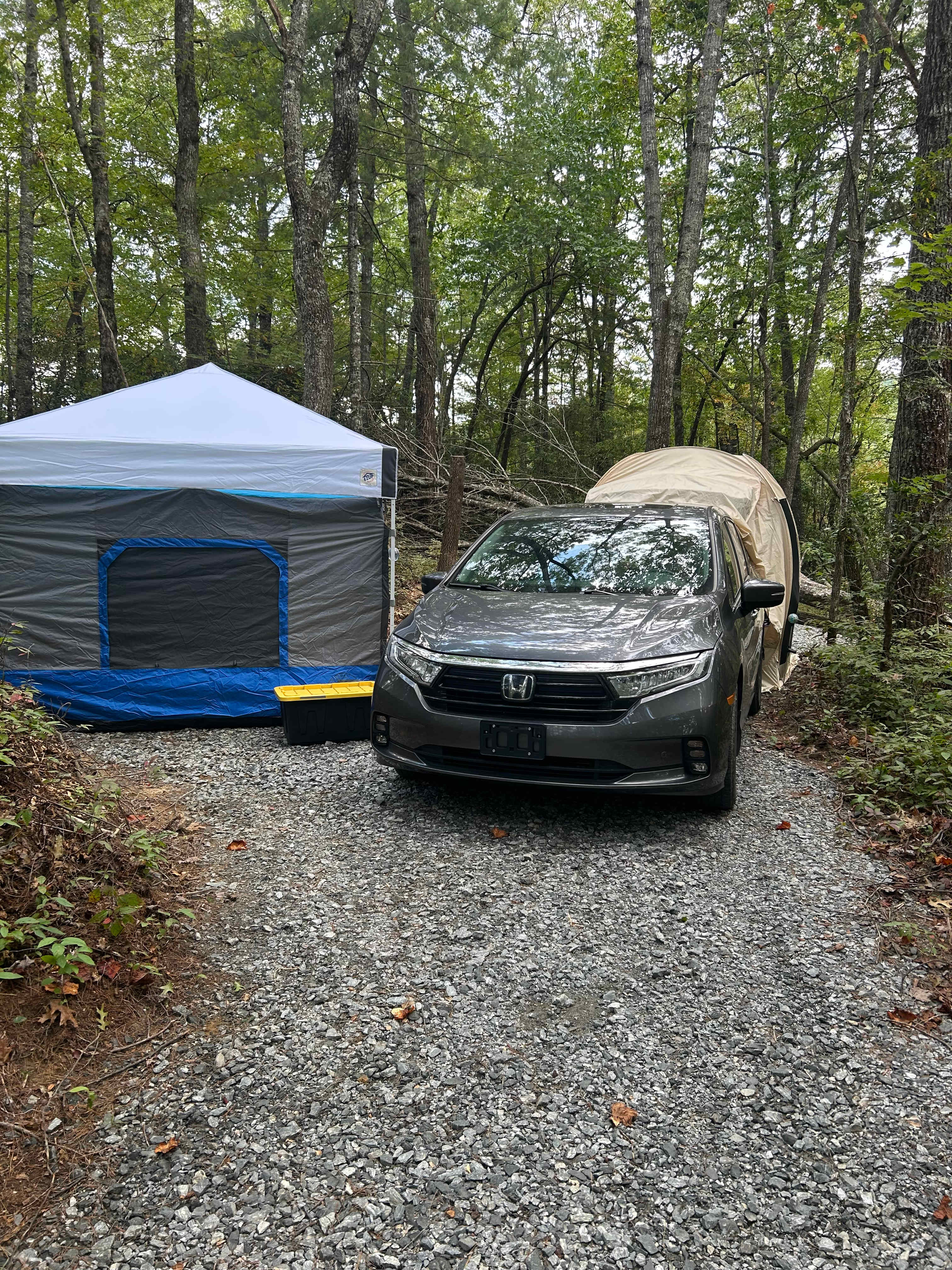 Cedar Ridge Base Camp