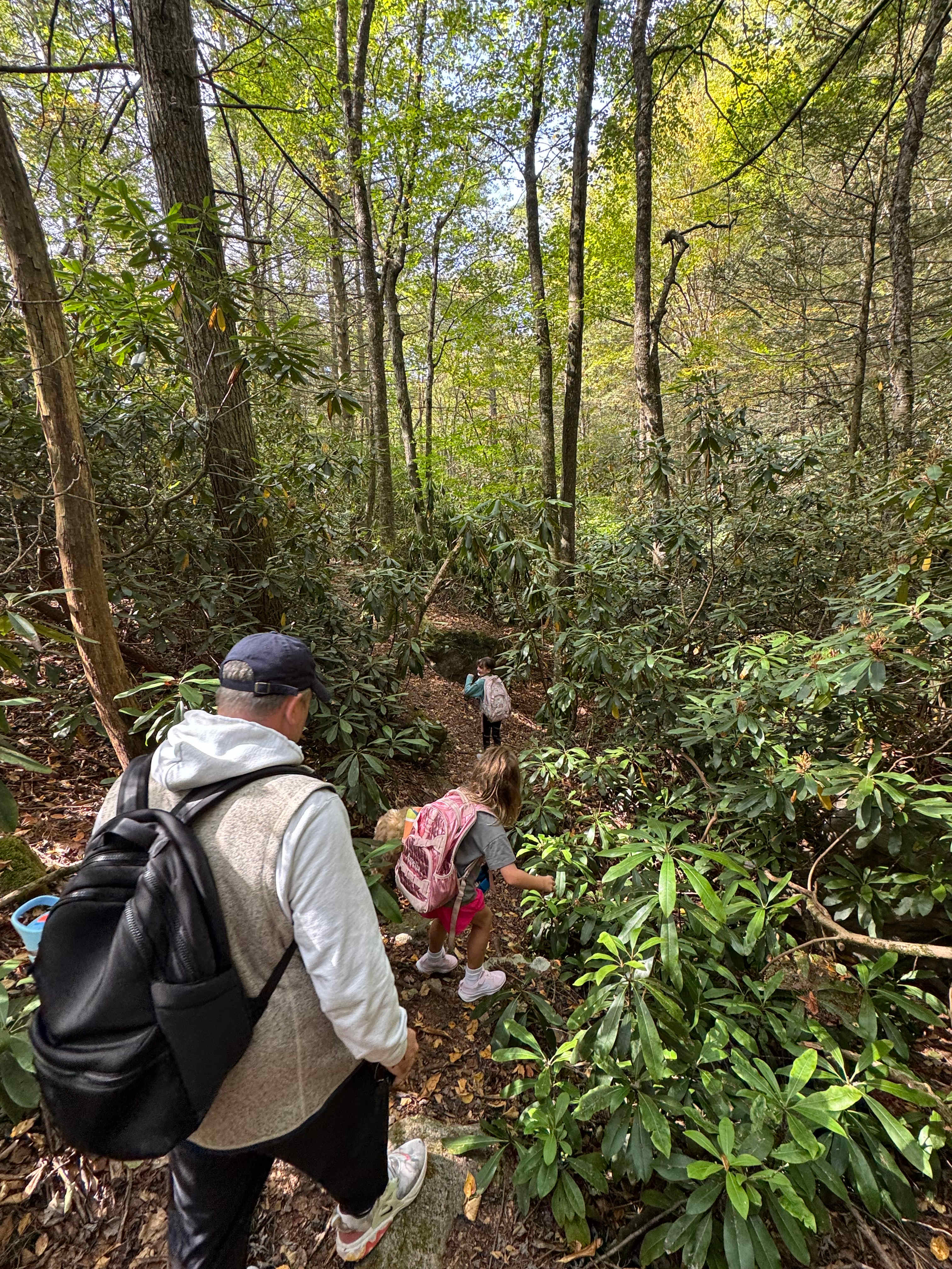 Beautiful & easy hiking trails right off of your campsite