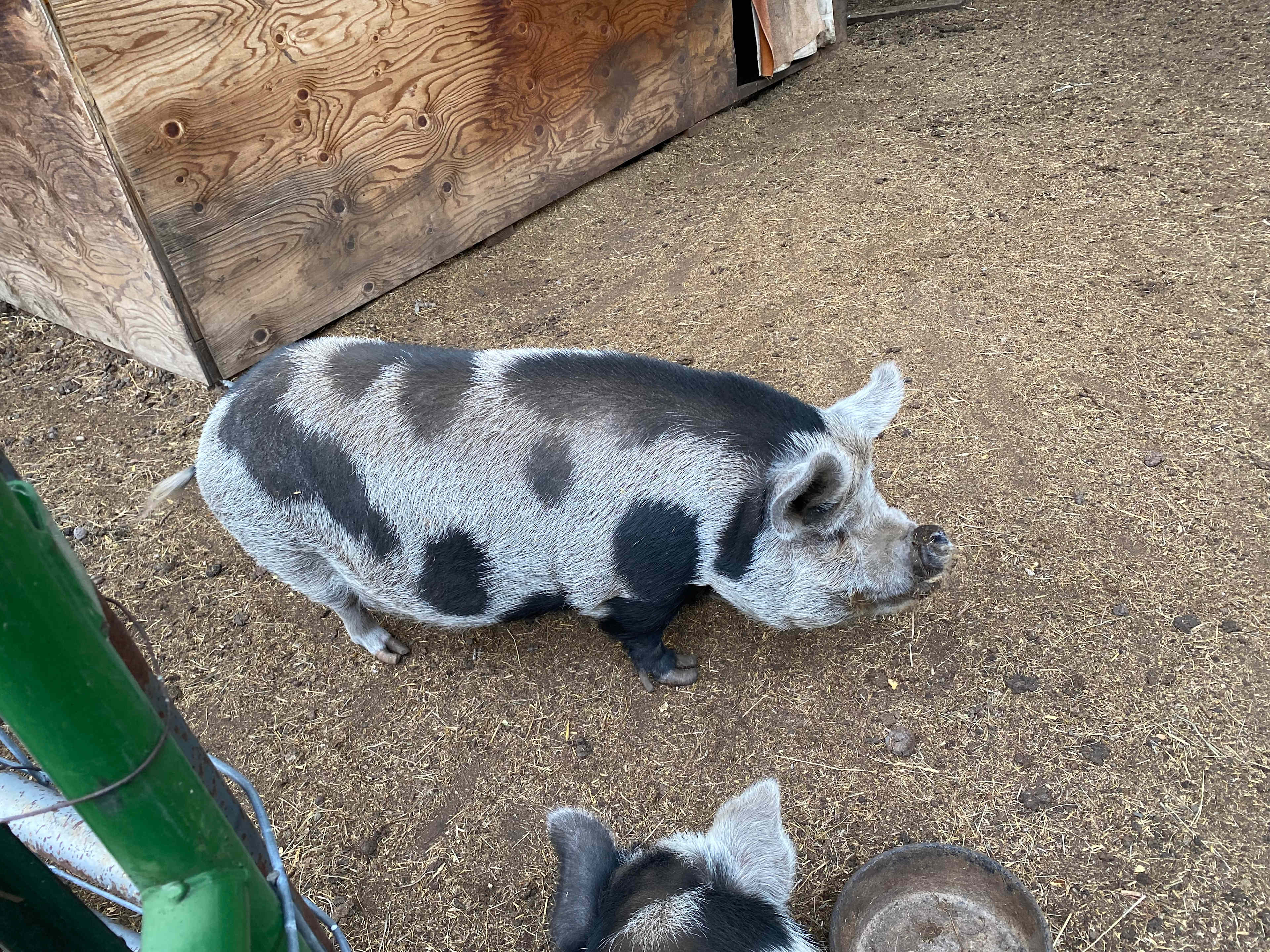 Frenchman's Creek Ranch