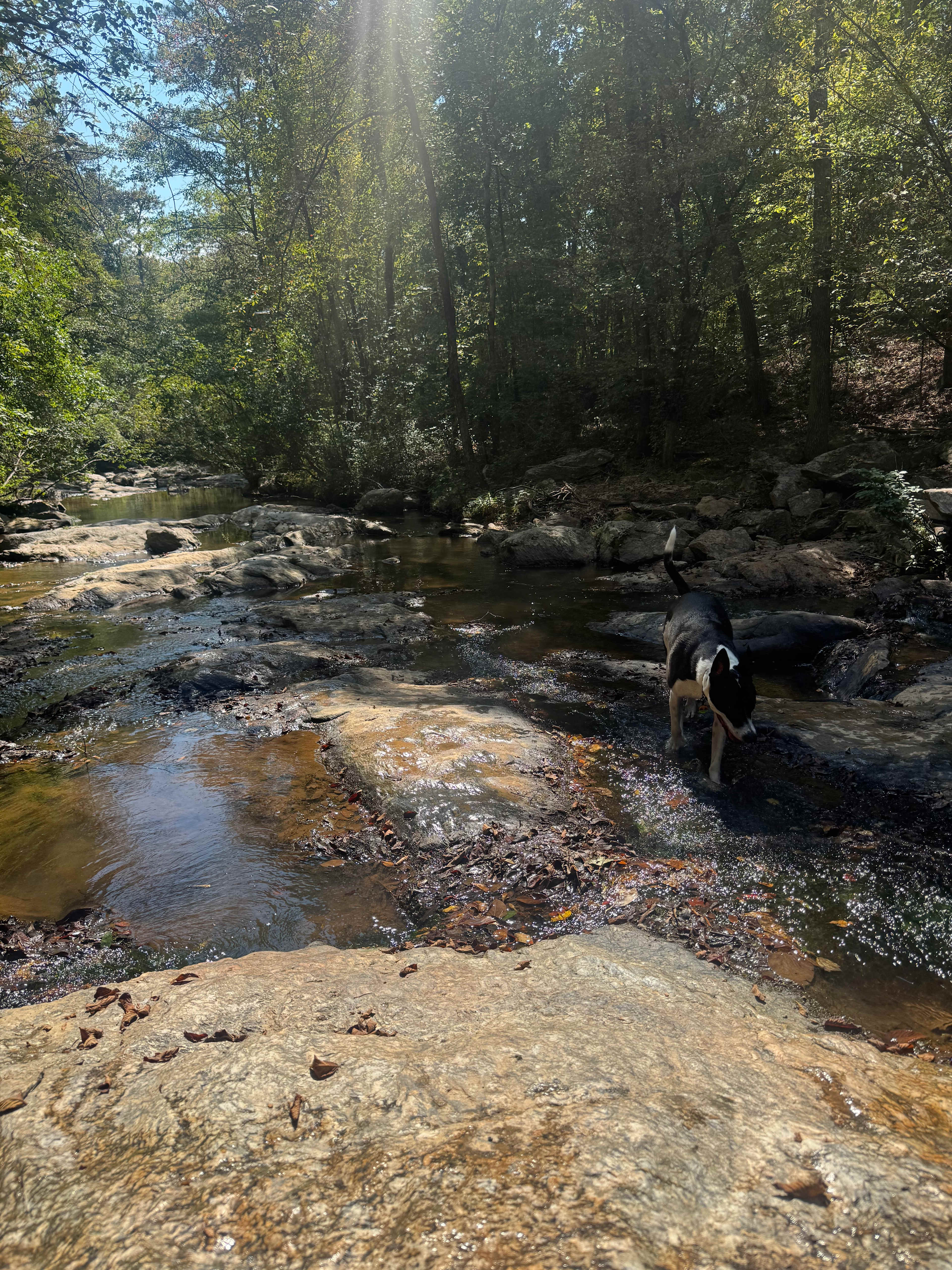 Secluded Riverbend Camp