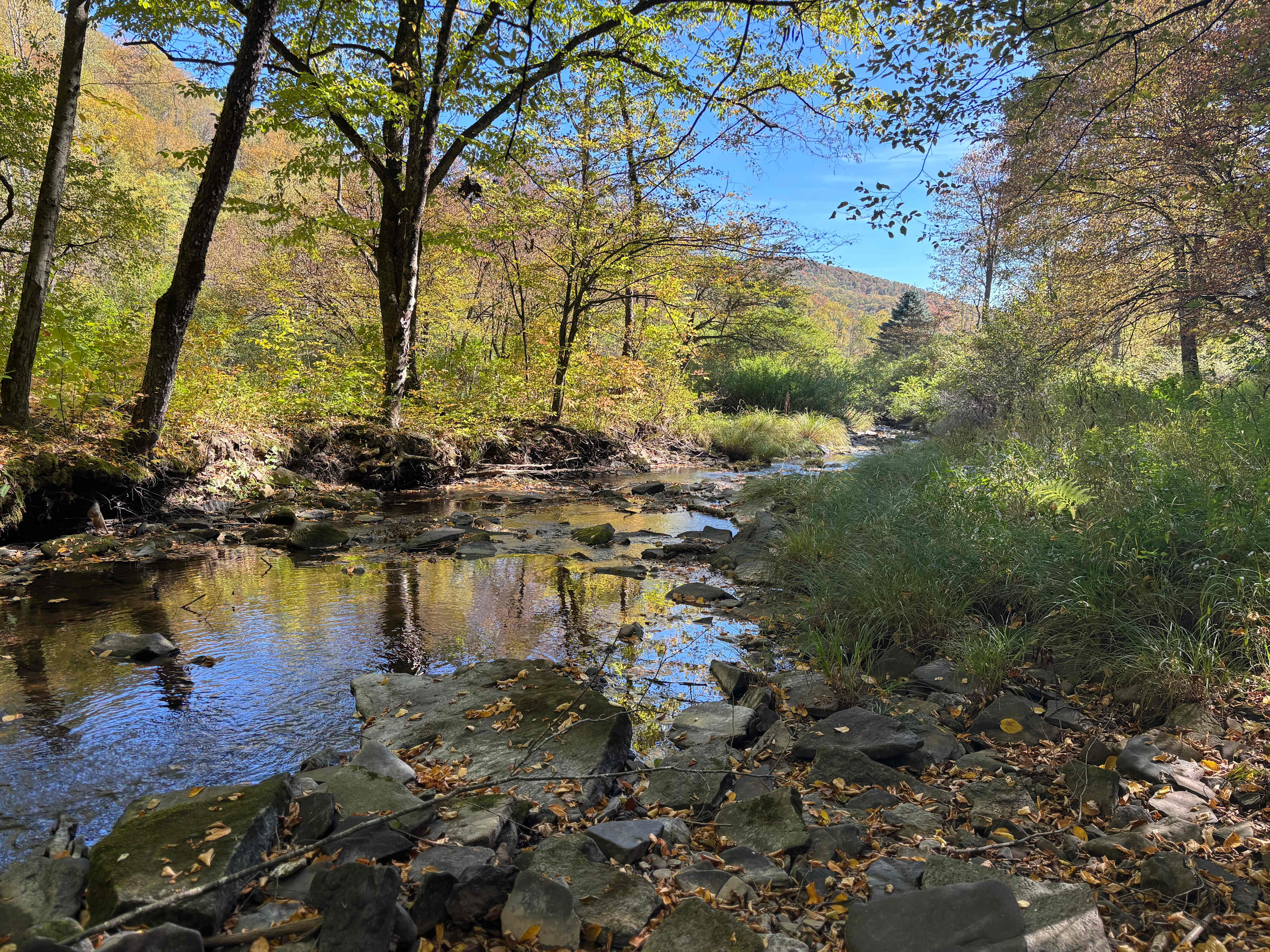 Austin Dam Memorial Park
