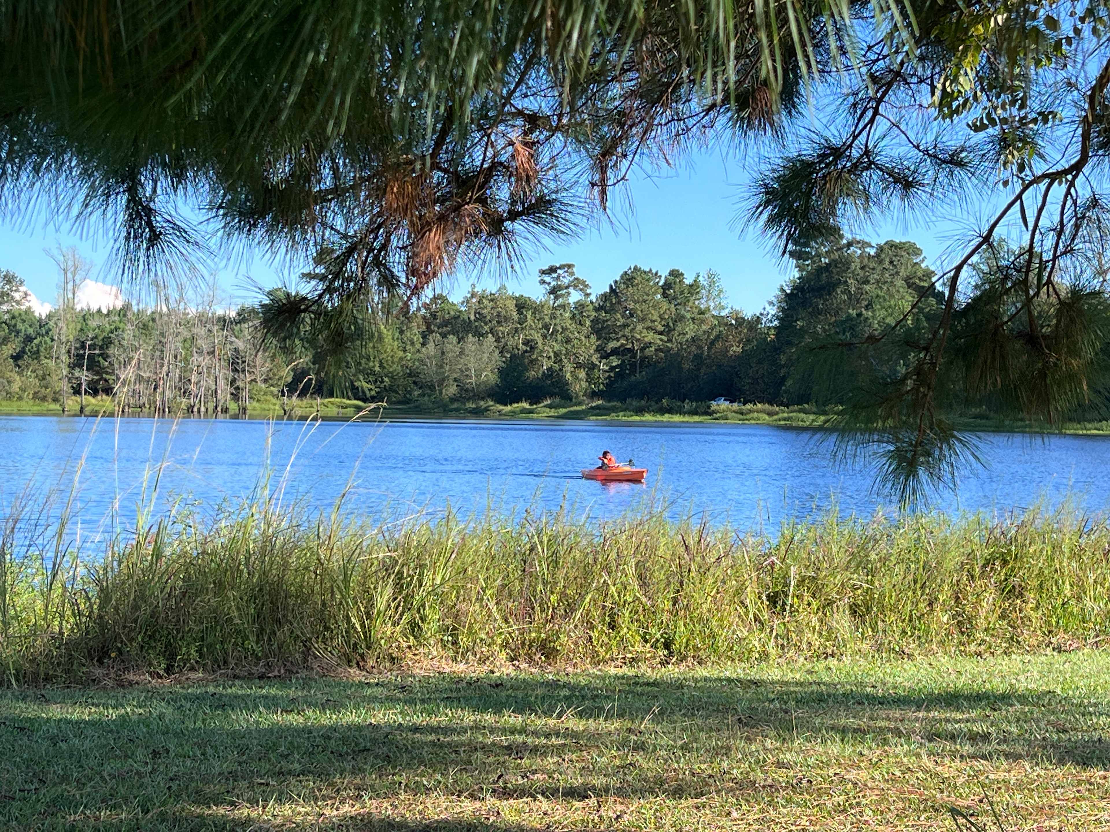 JCO Campground at Lee Baysden Pond