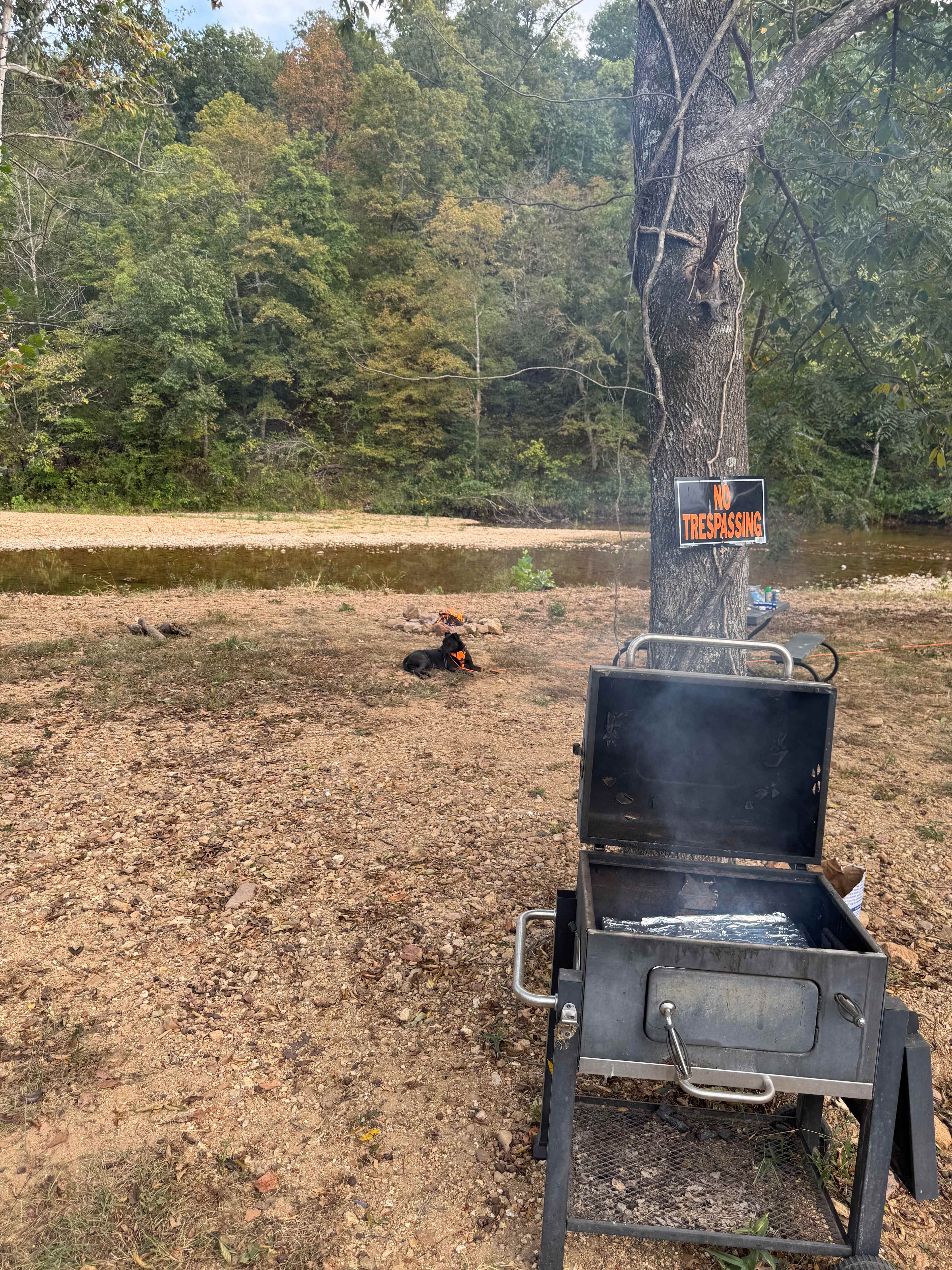 Site 8