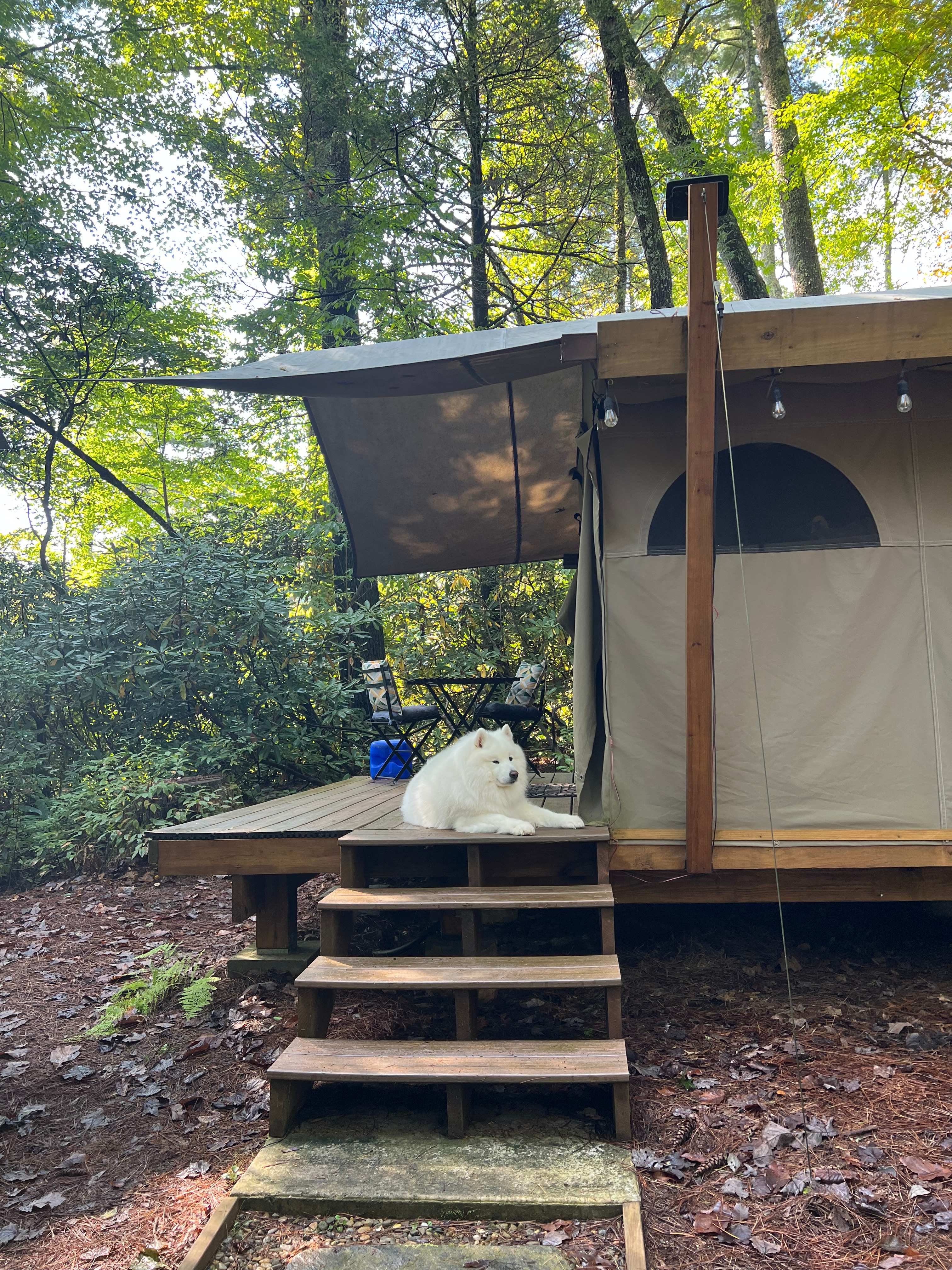 Mishka’s favorite spot for the weekend 