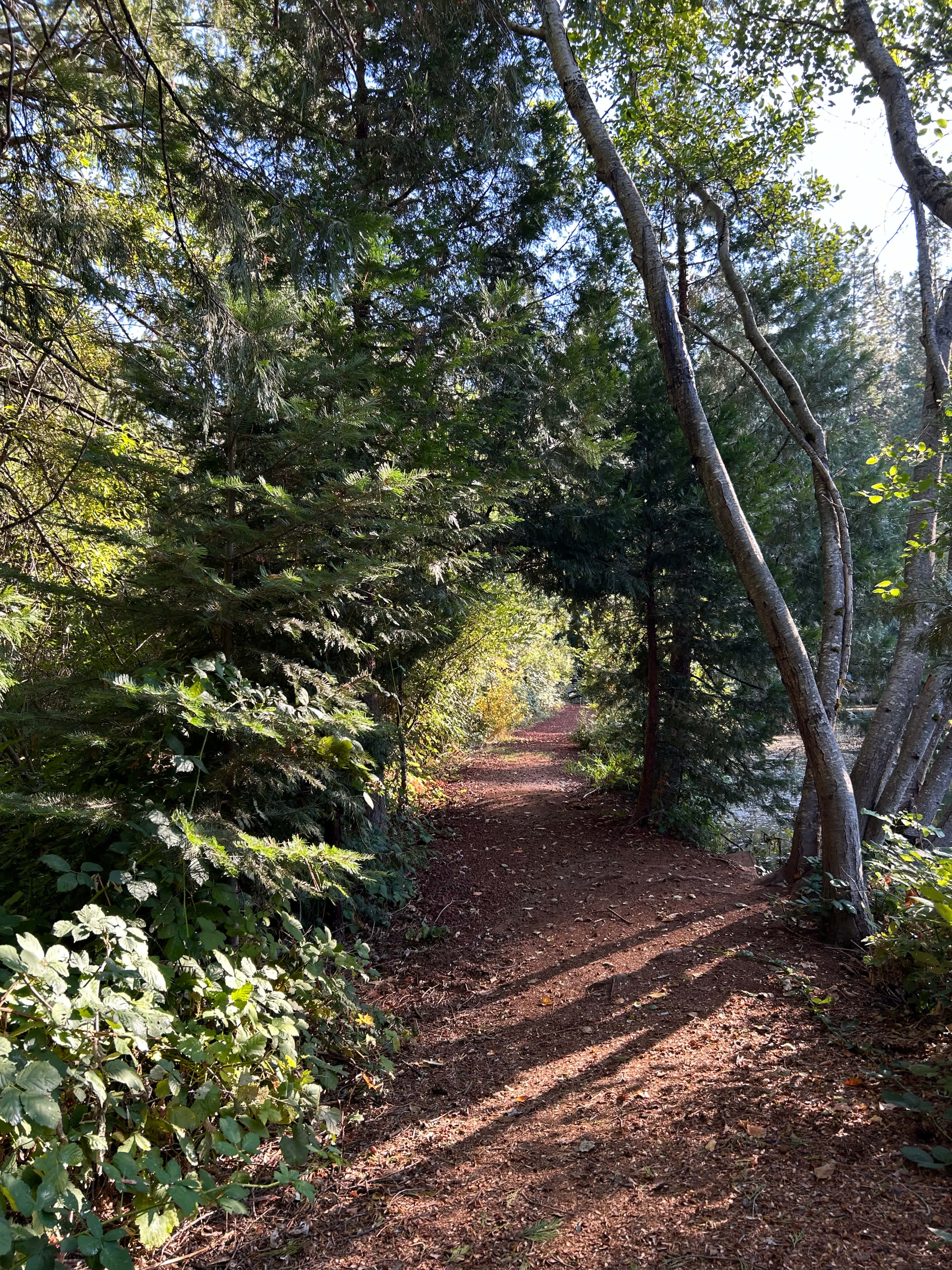 Path around the pond leading to the waterfall.