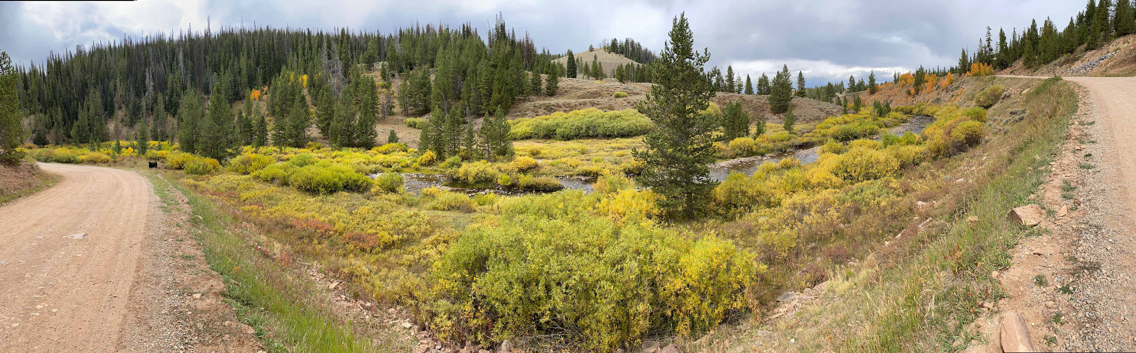 Switchback on the road to camp