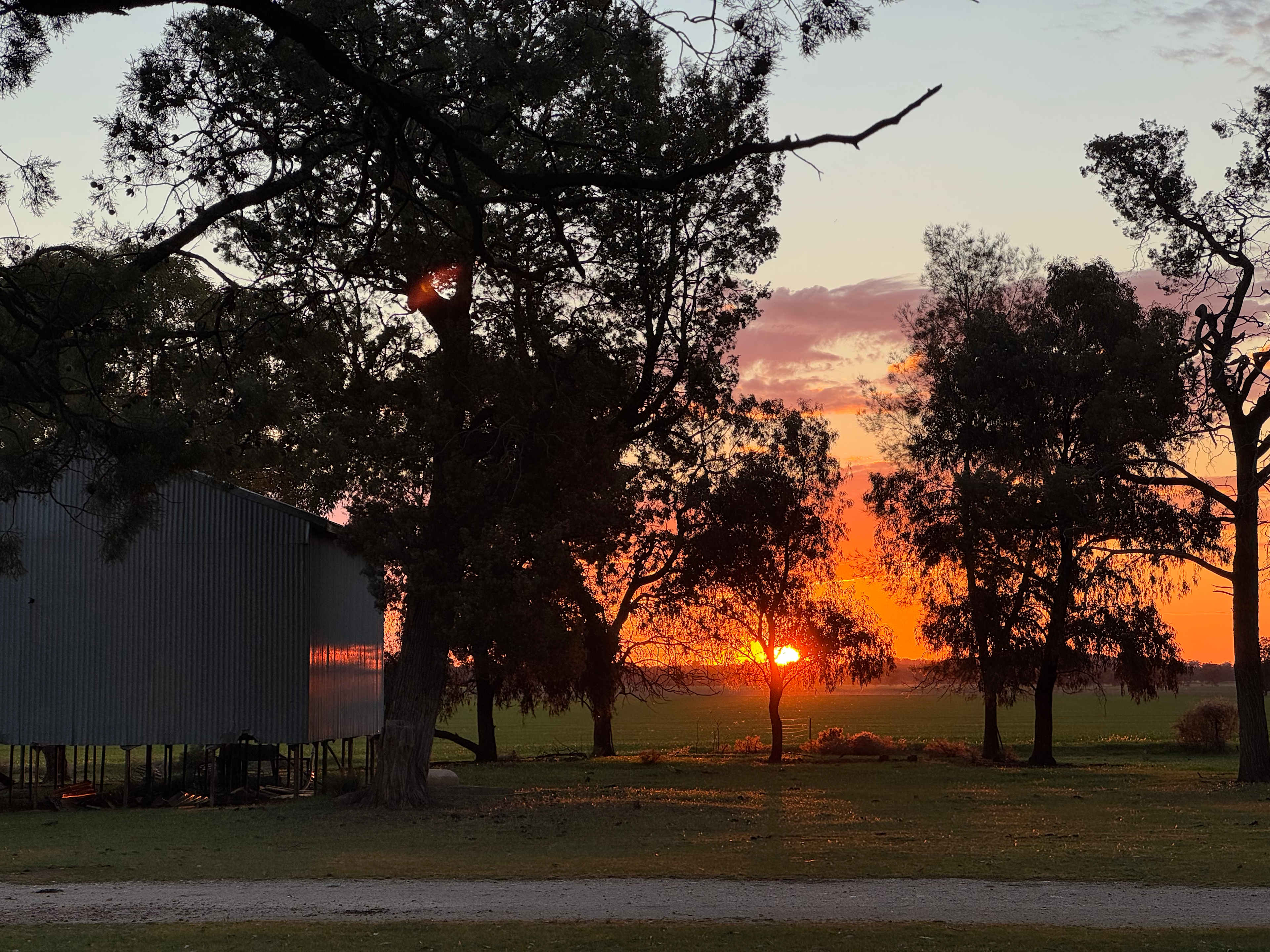 Mirrool Creek, Lake Abortree