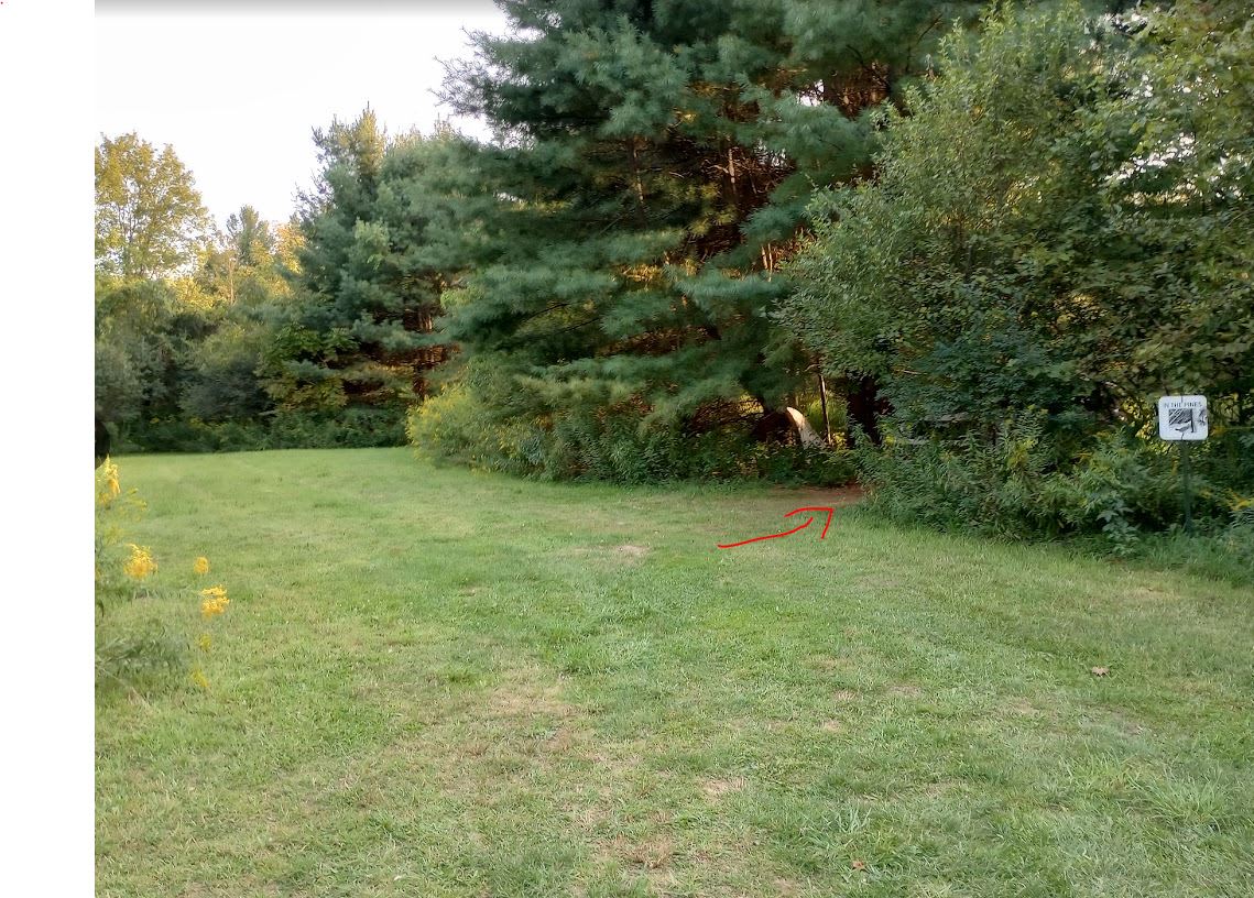 In The Pines.  Site is where the arrow is but you can also set up in your own private mowed area  in front of it.