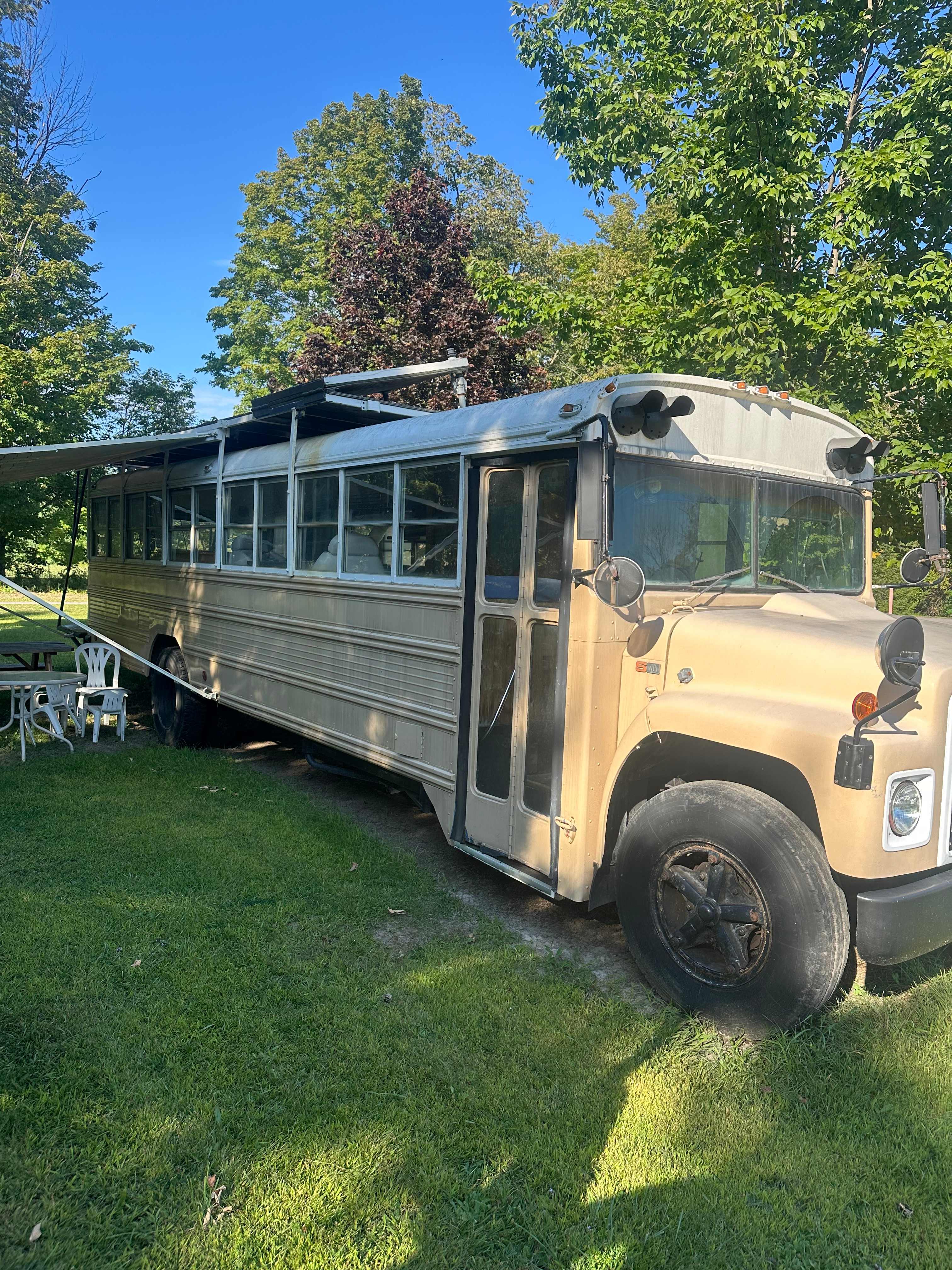 Schoolie Bus Camp & Camping Area