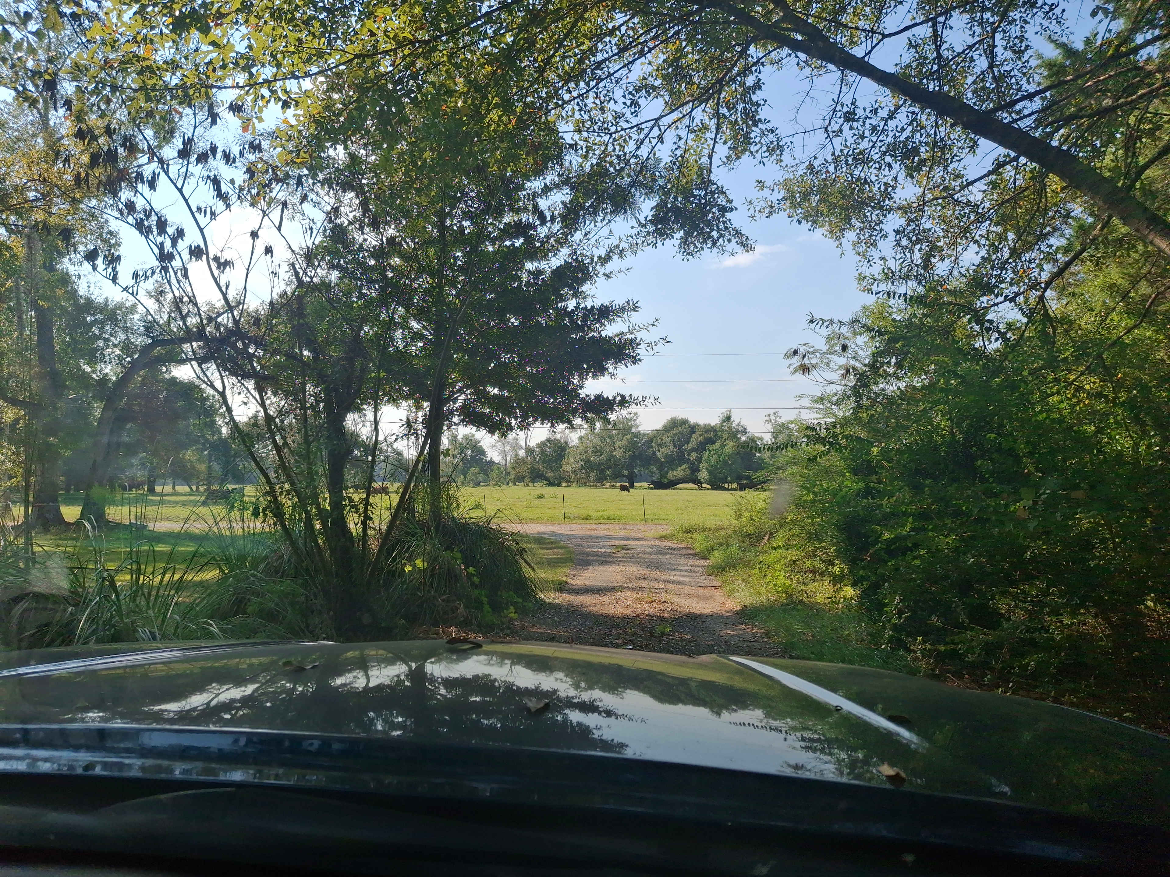 Opal Springs Nature Haven