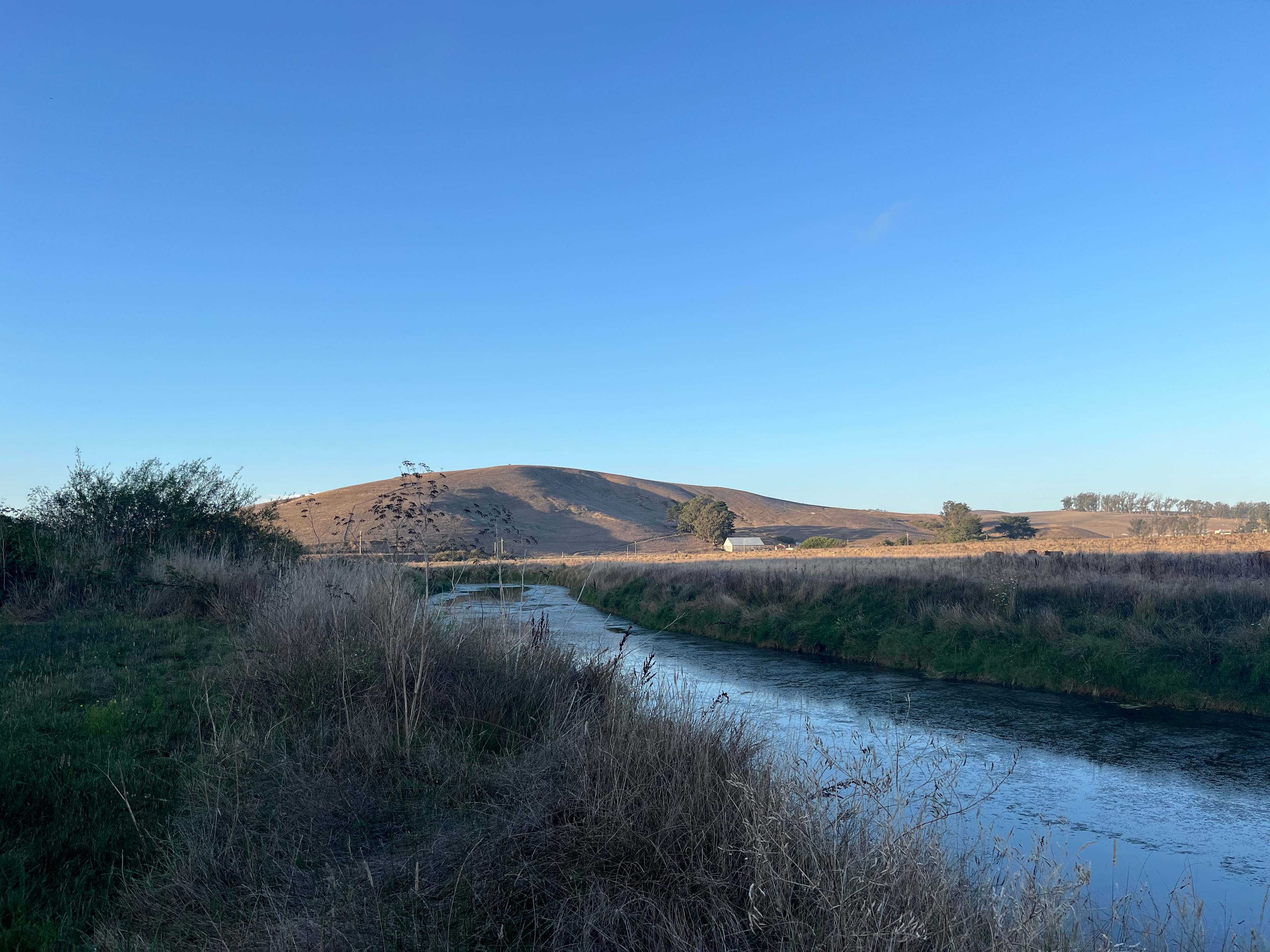 Estero San Antonio Wonderland