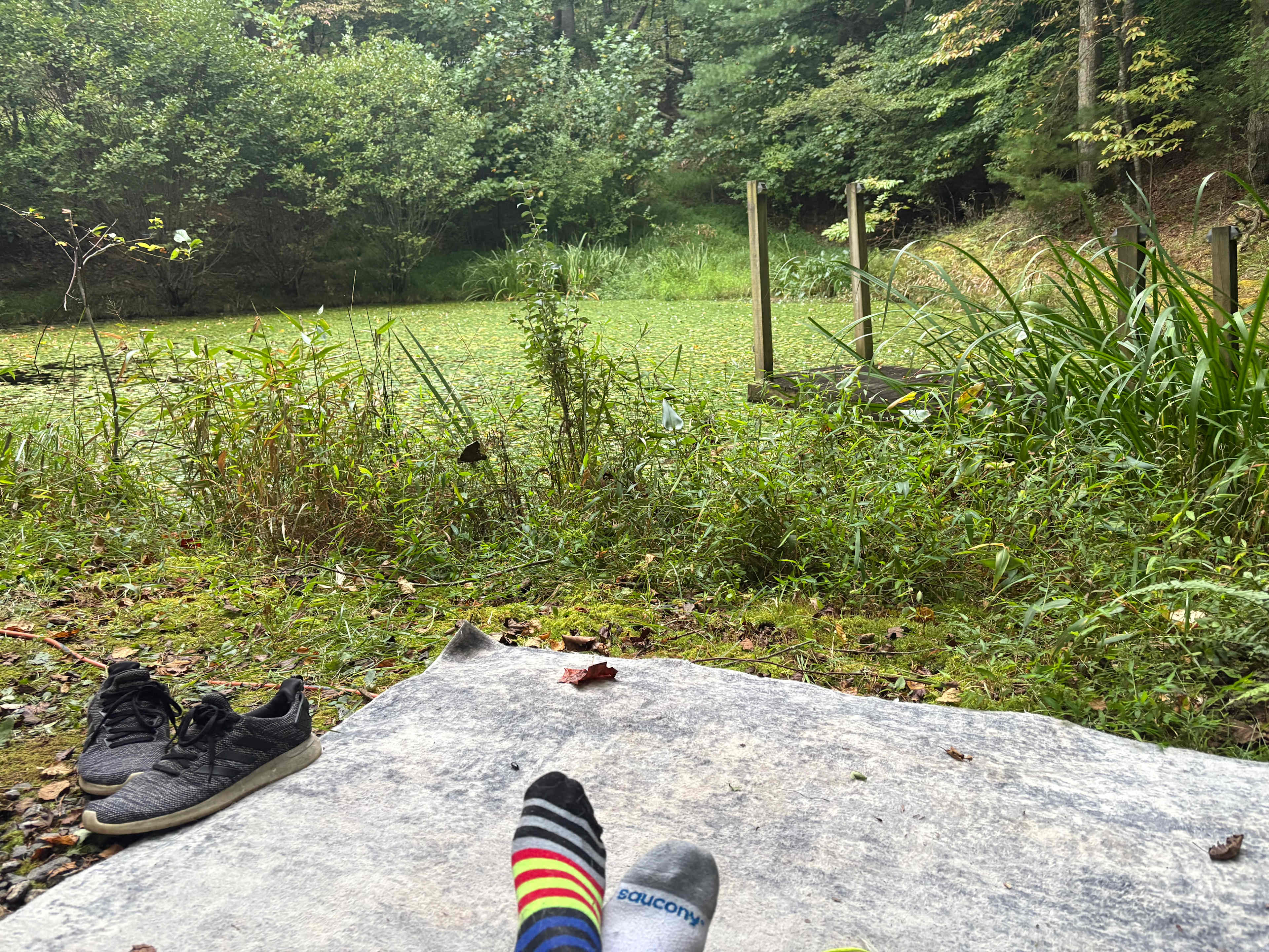 LGBTQ+ friendly! Everyone welcome!