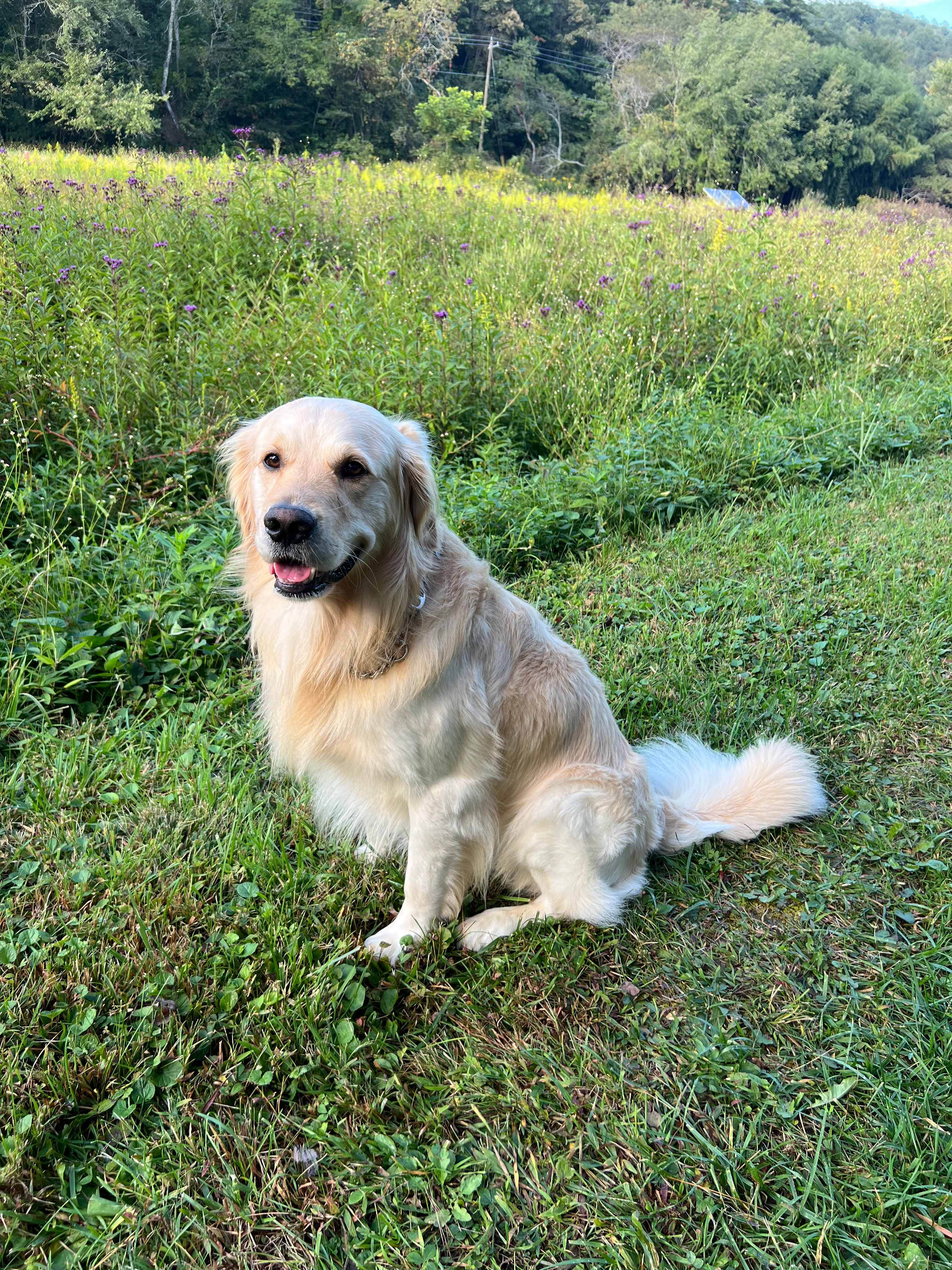 Little River Hideaway