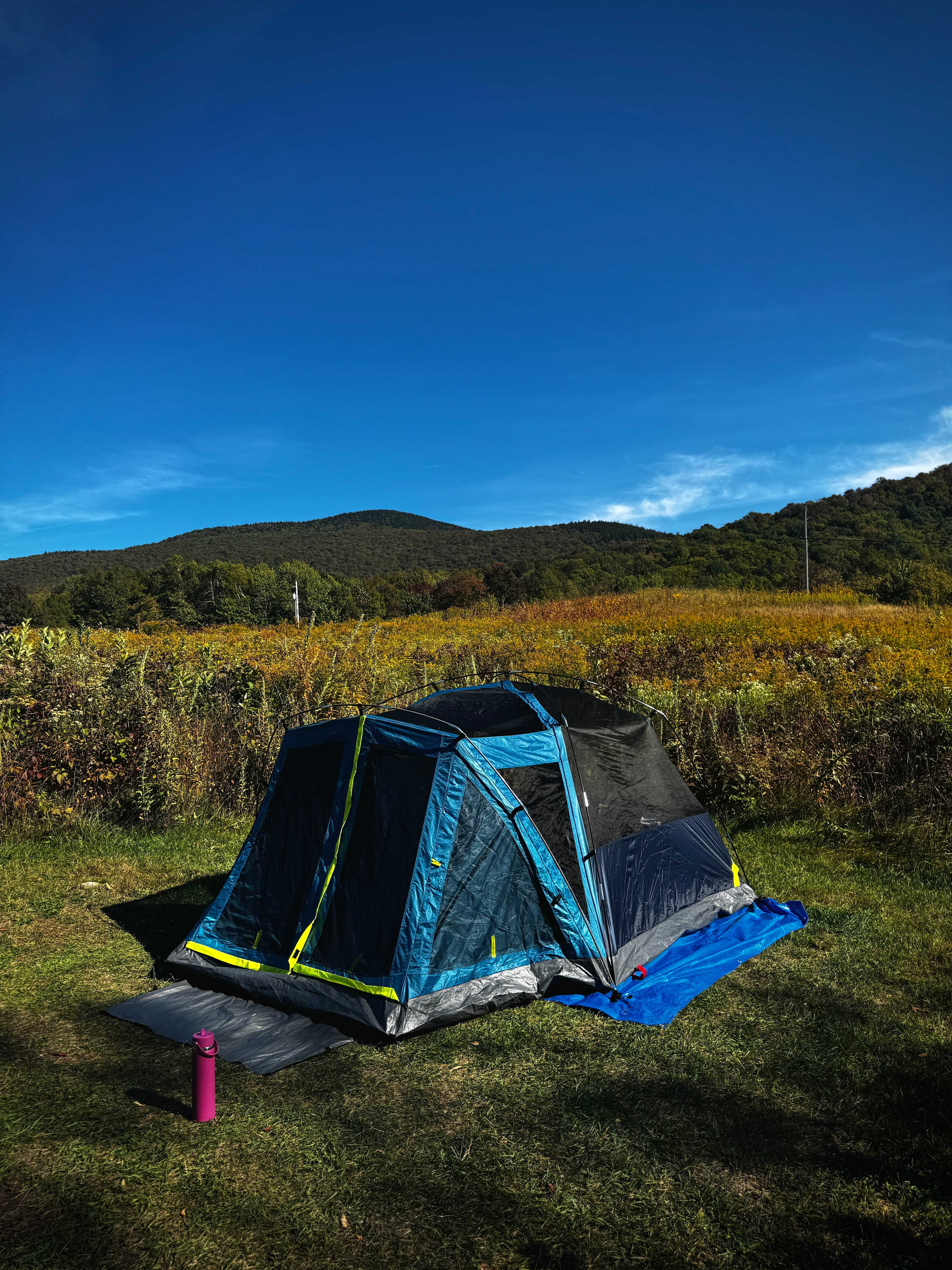 BlueberryHill  Field Camp