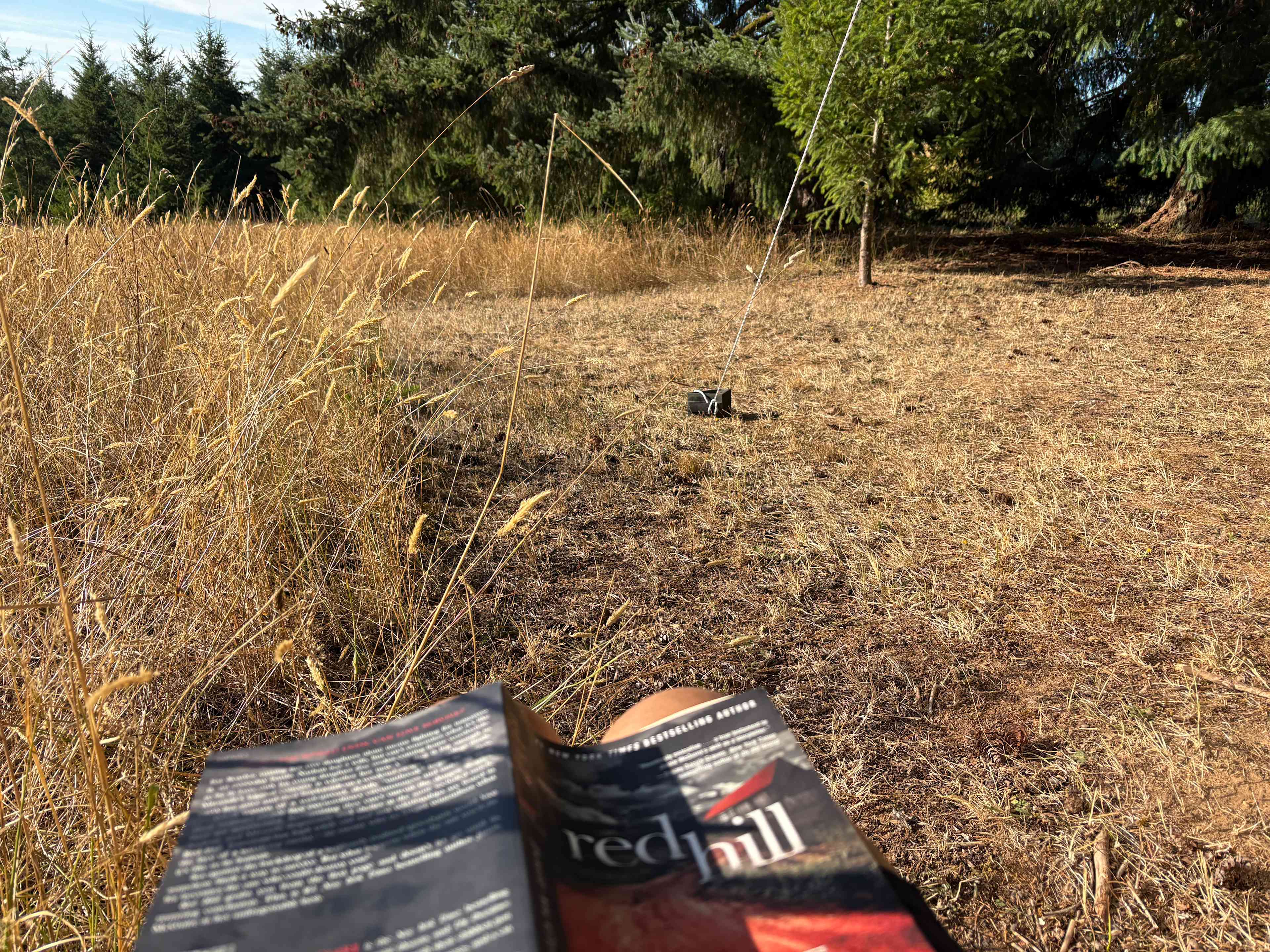 relaxing and reading in the meadow 