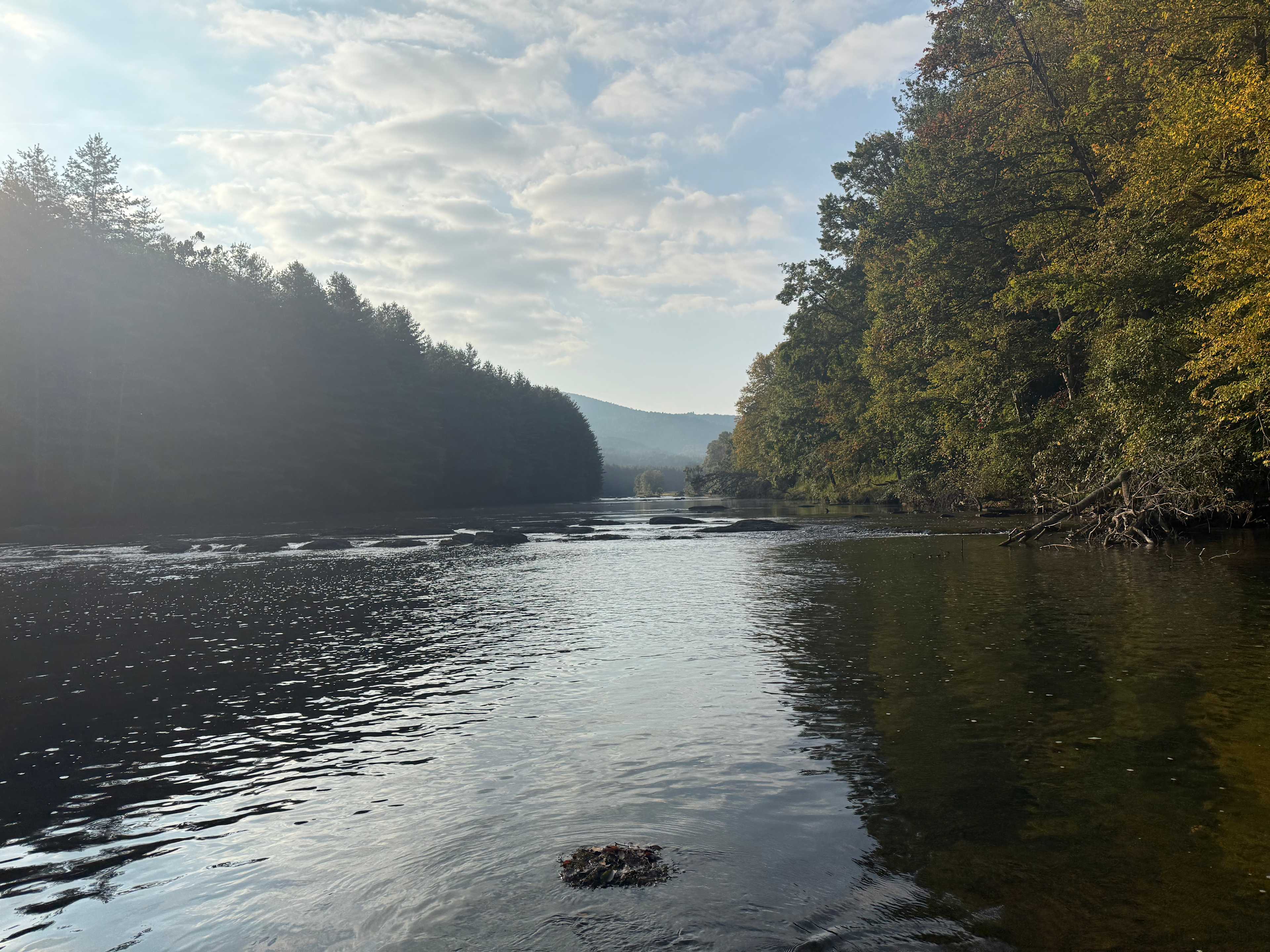 Peak A View Farm & Camp