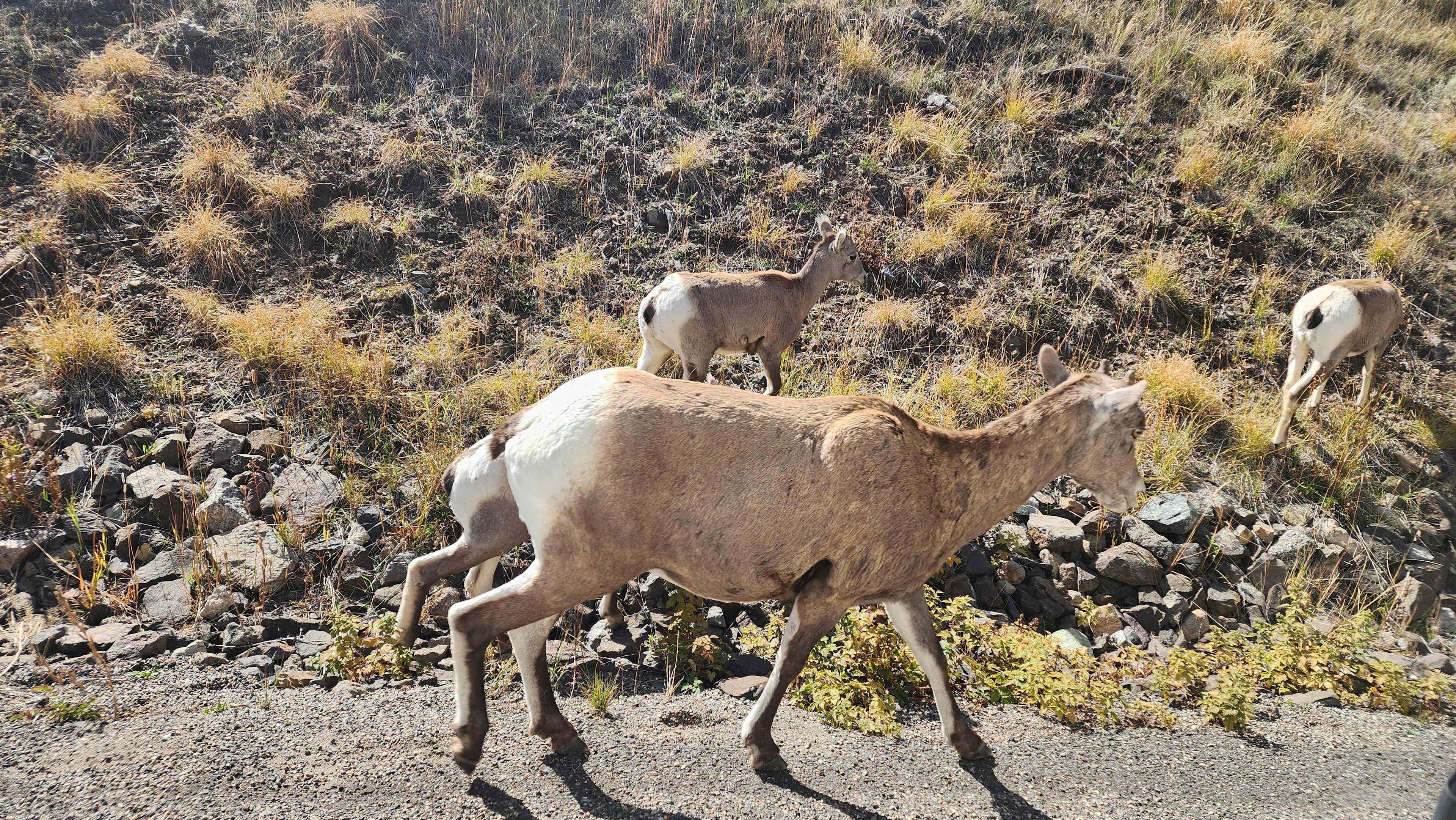 Sportsman's Retreat RV Sites