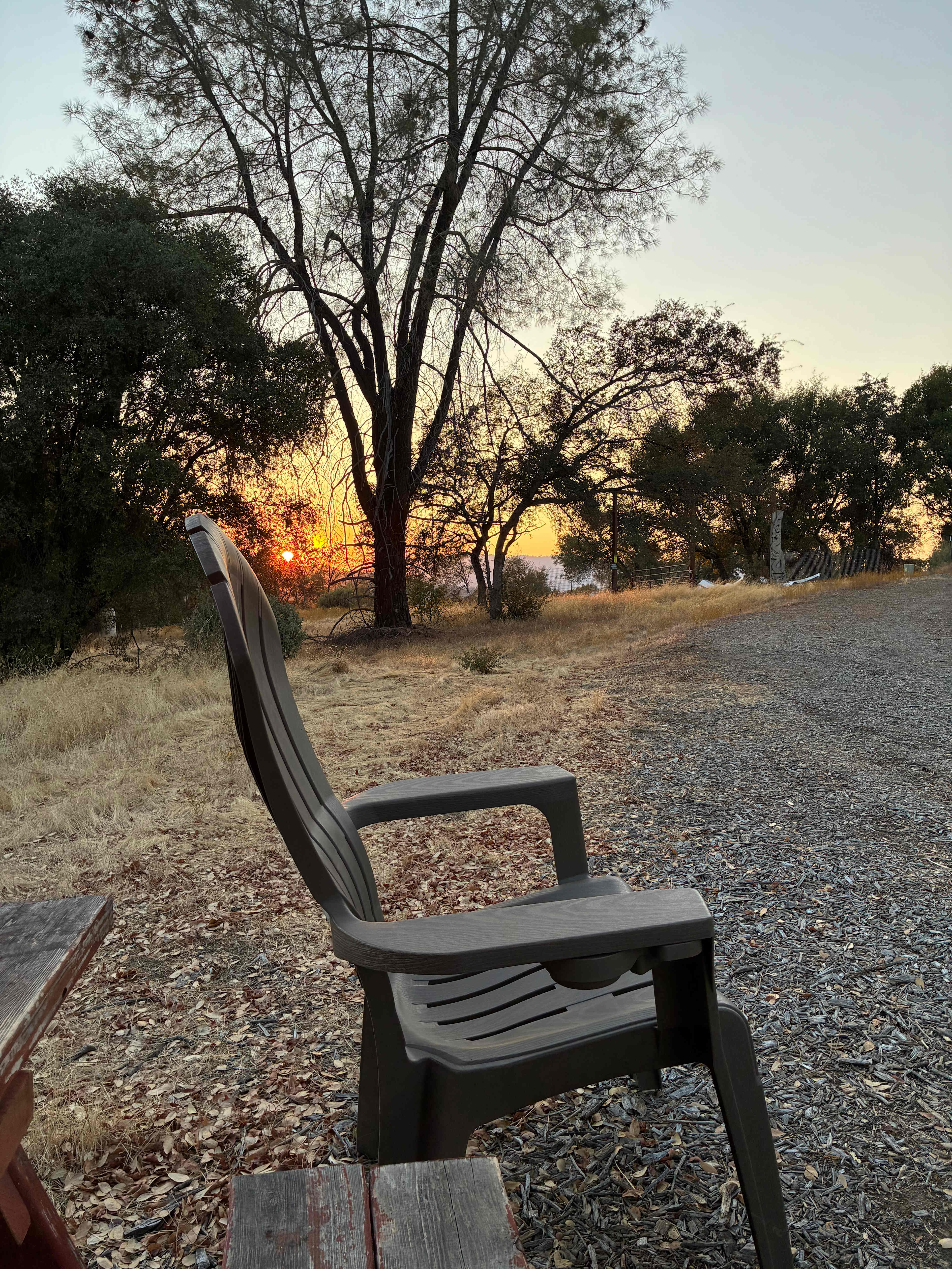 Camp SourBerry (near Yosemite)