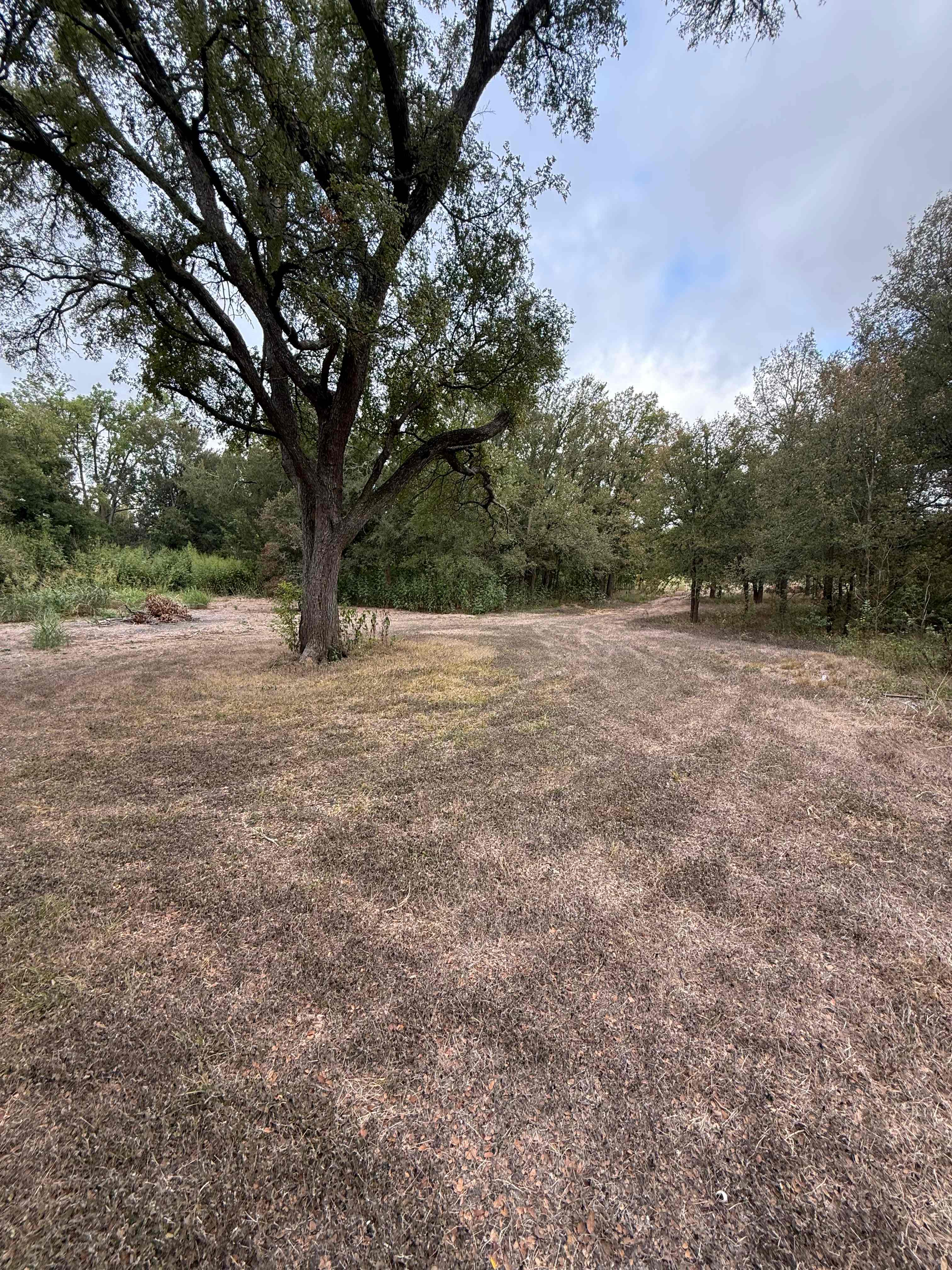 Secluded camp minutes from Austin