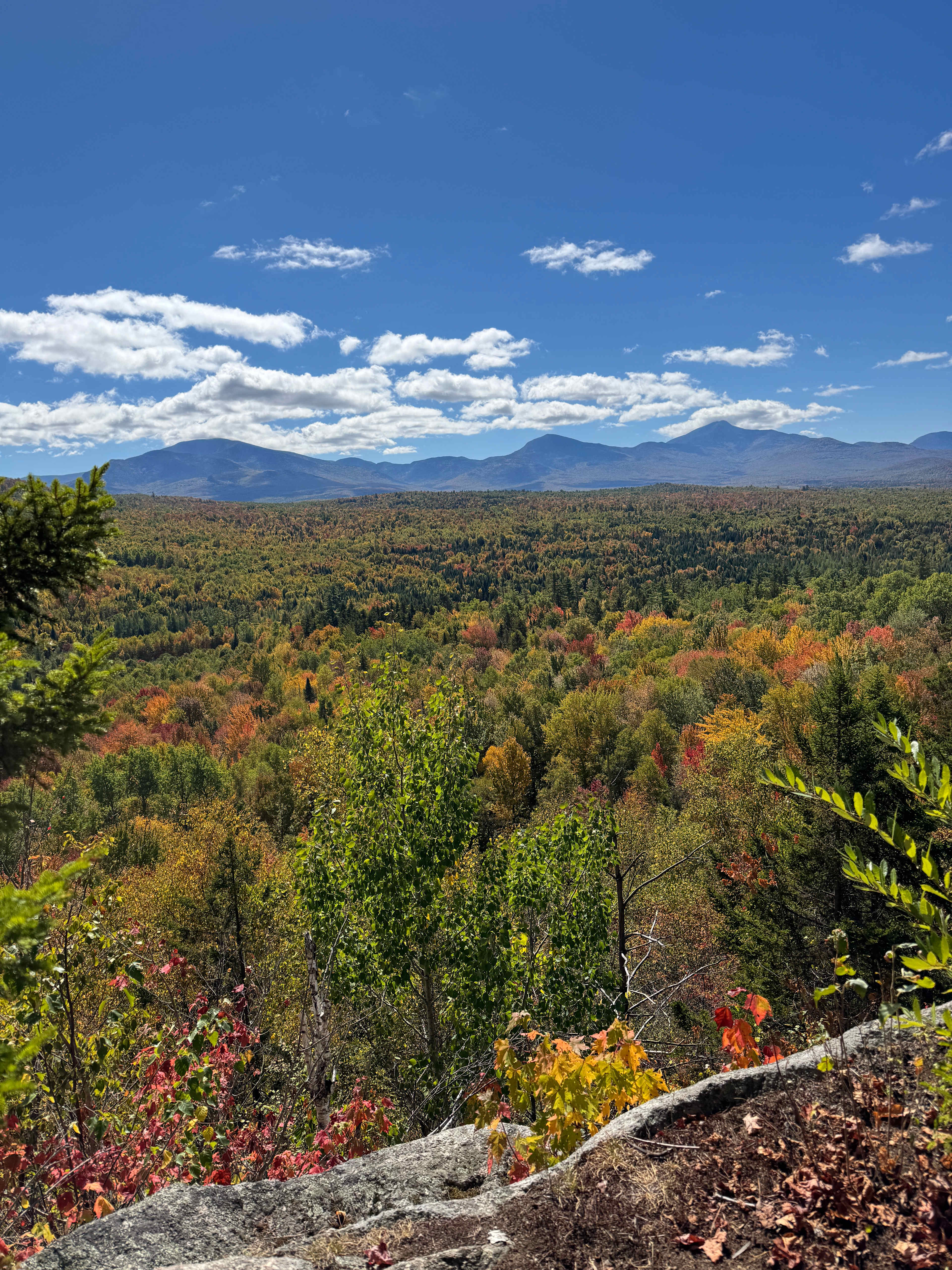 Beautiful Woods & Mountain Views