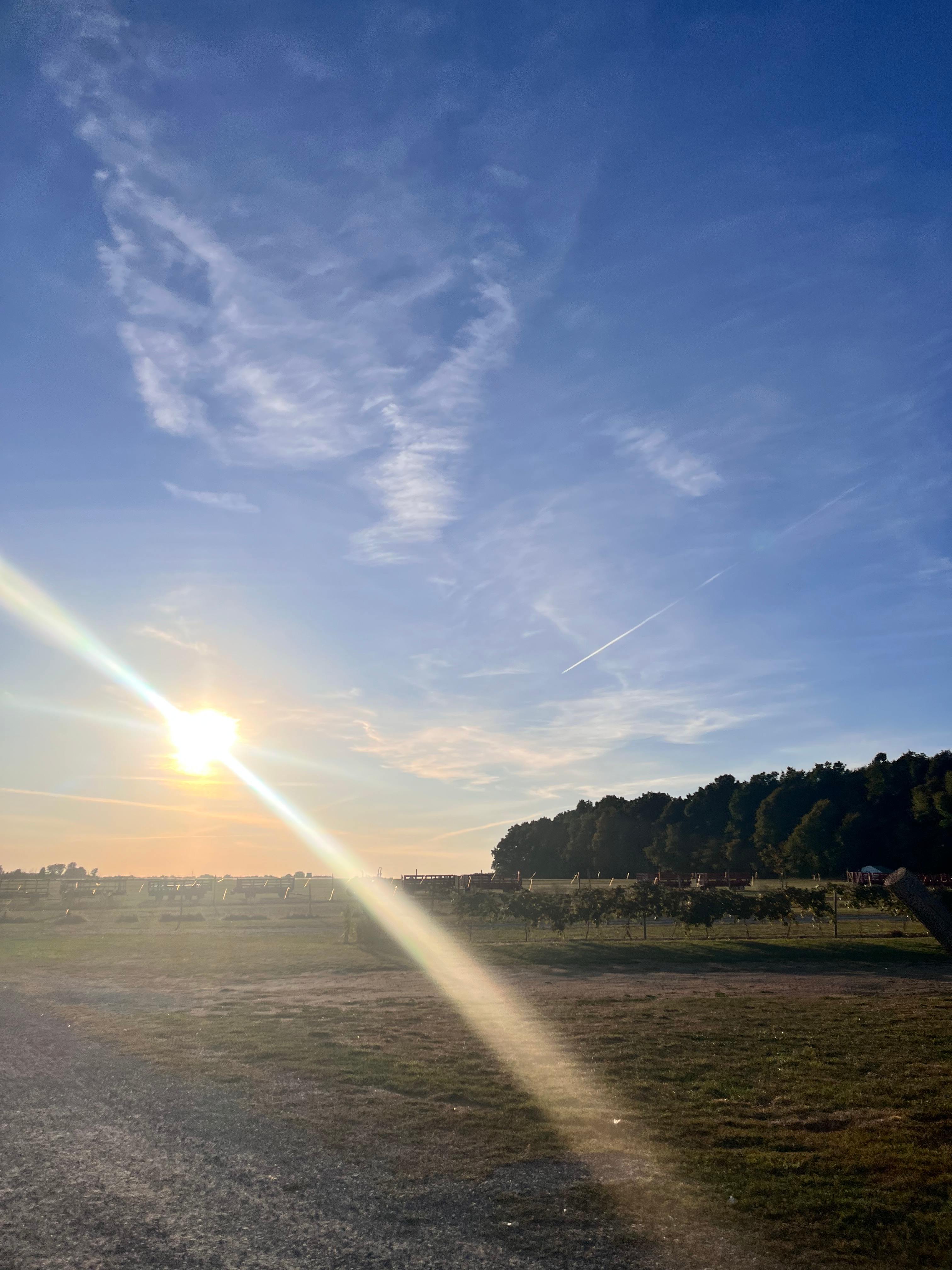 Becker Farms | Vizcarra Vineyards