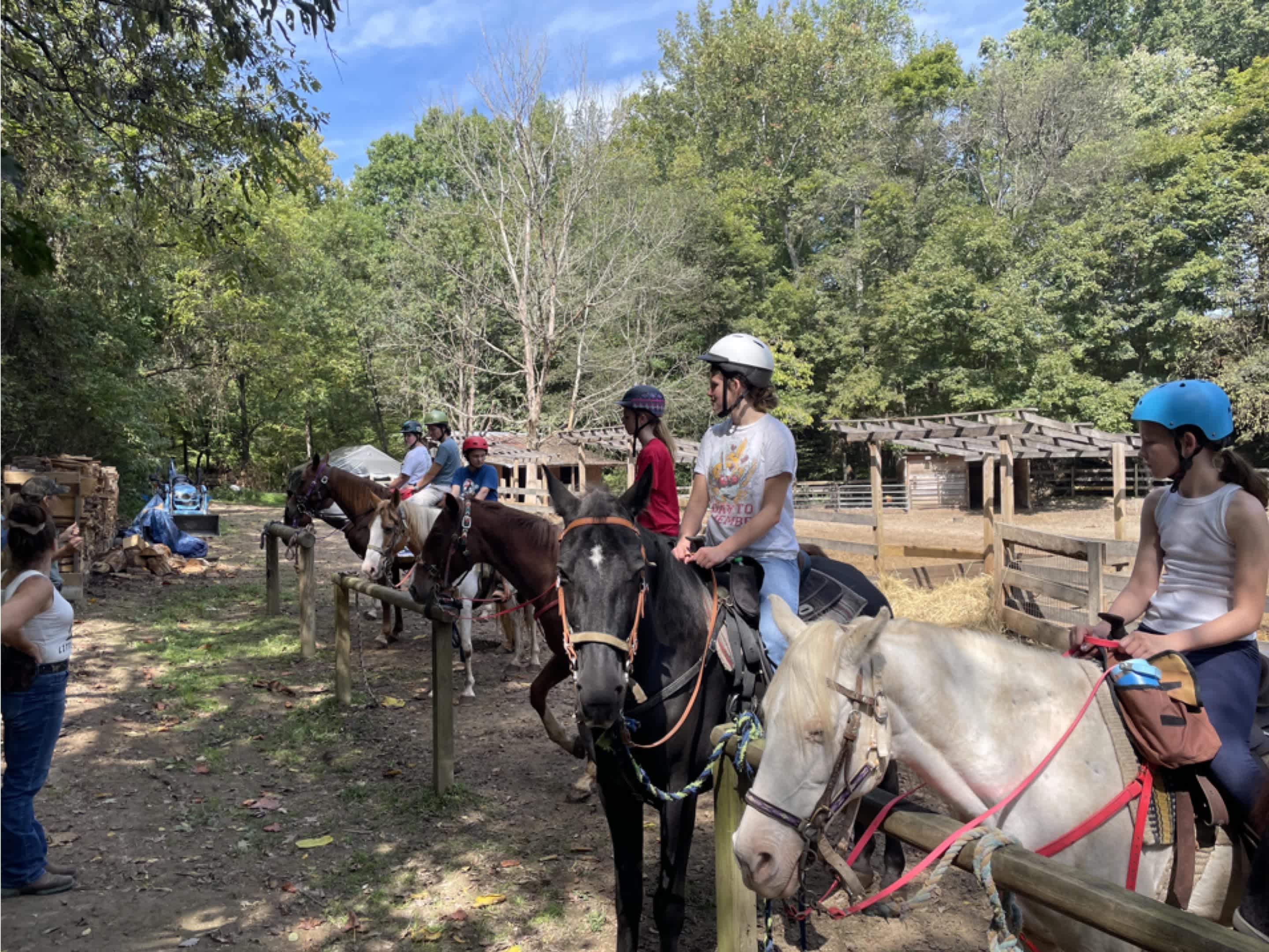 Little Creek Ranch in Wayneboro TN
