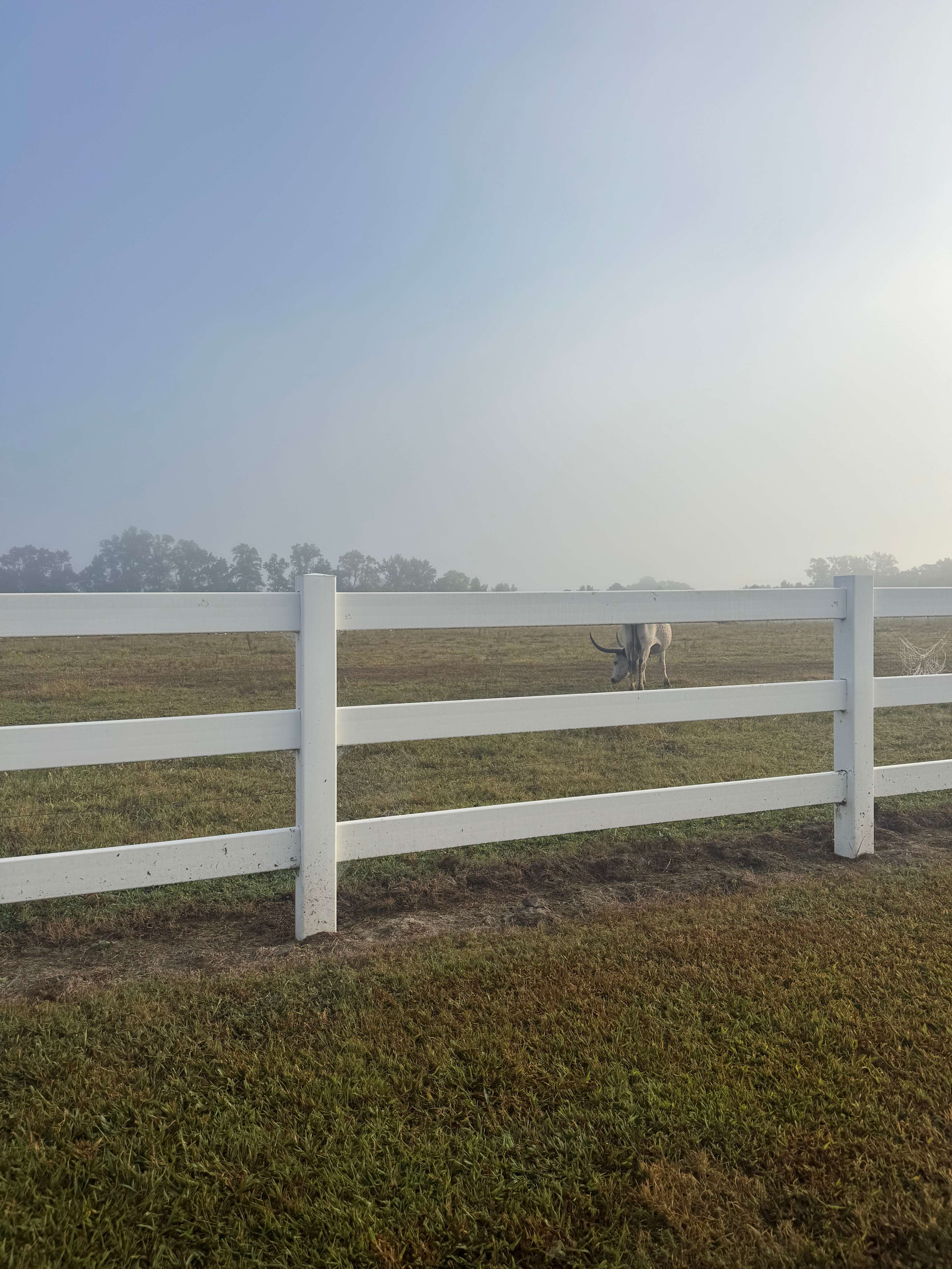 Horse Ranch-a short drive from 95