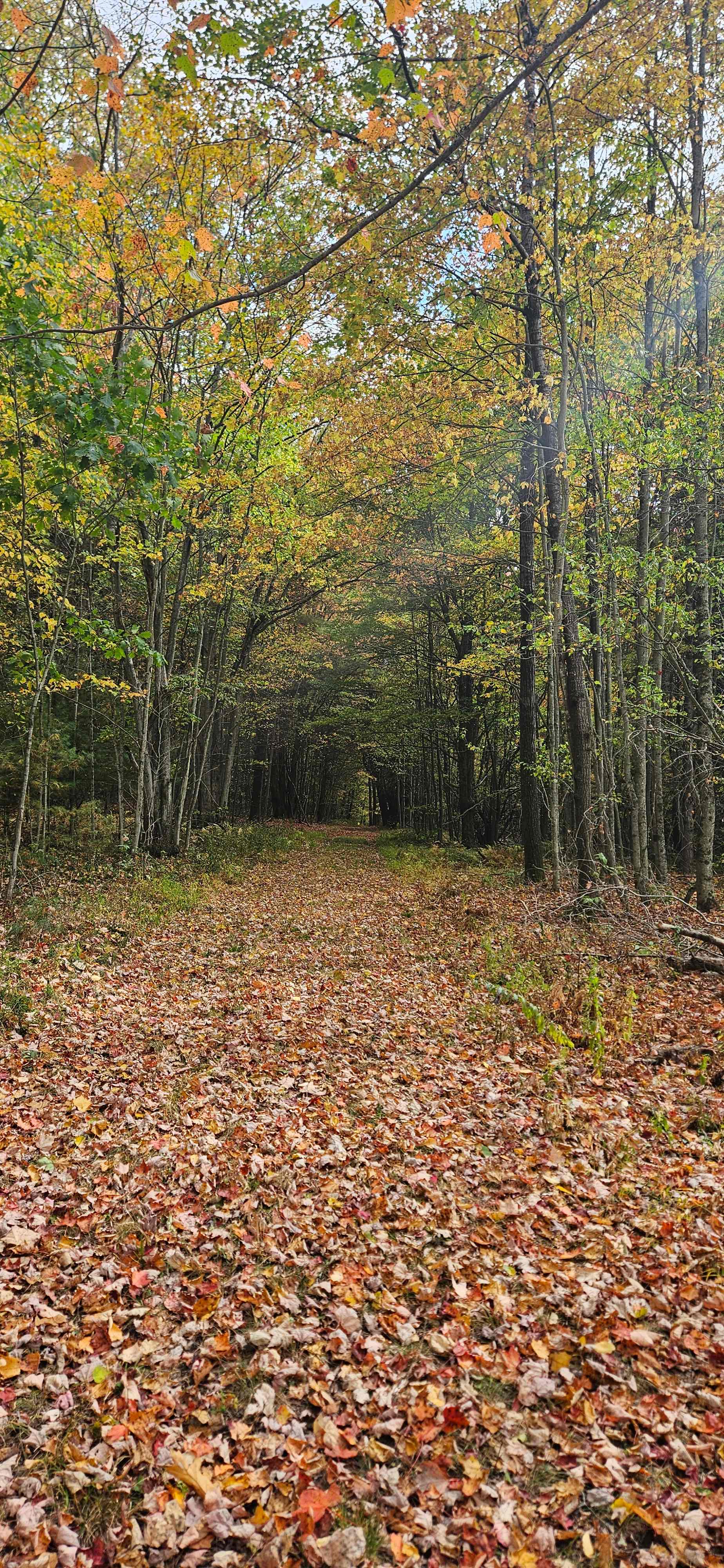Hiking on the property 