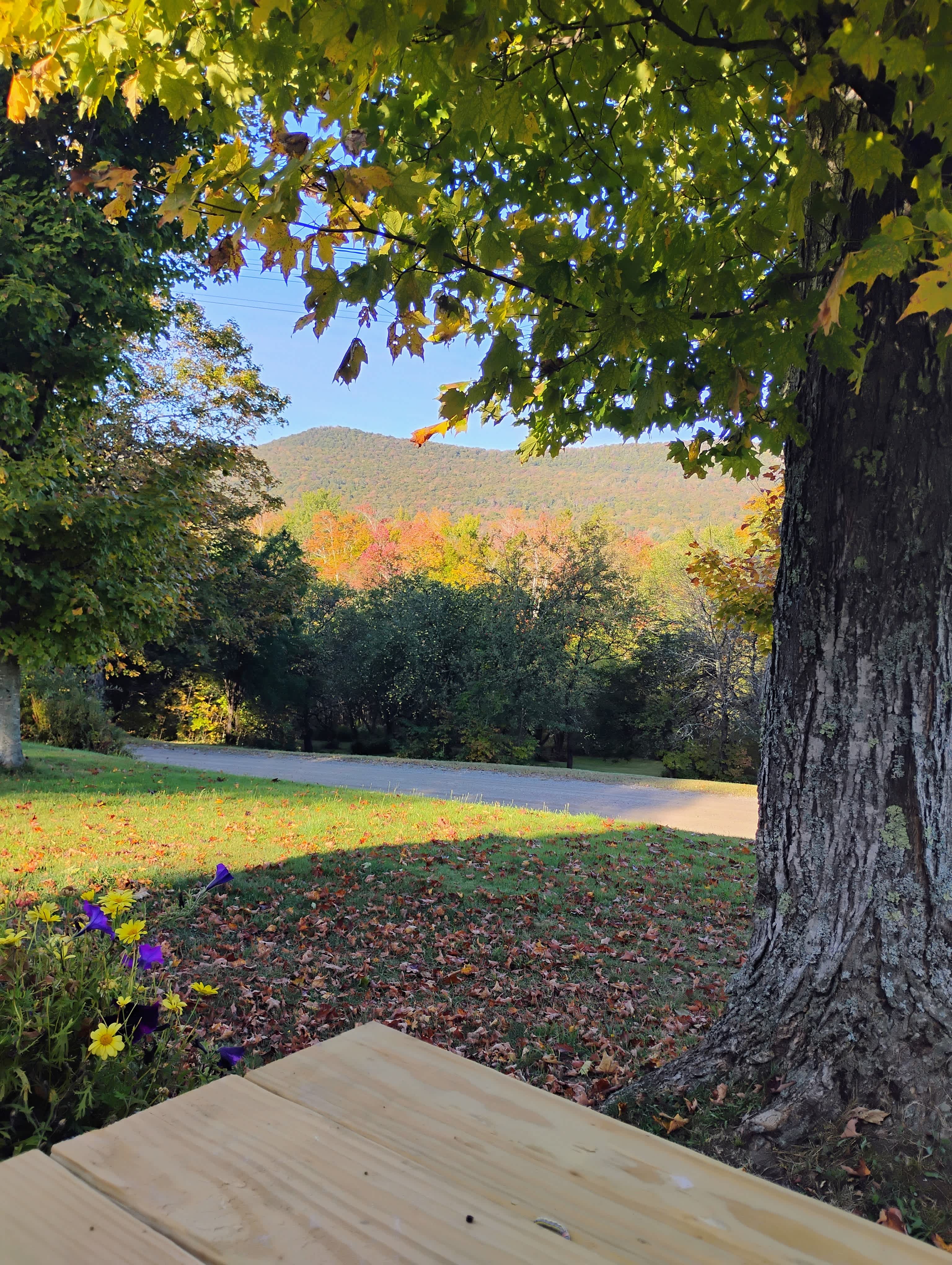 Golden Maple Farm - Camping