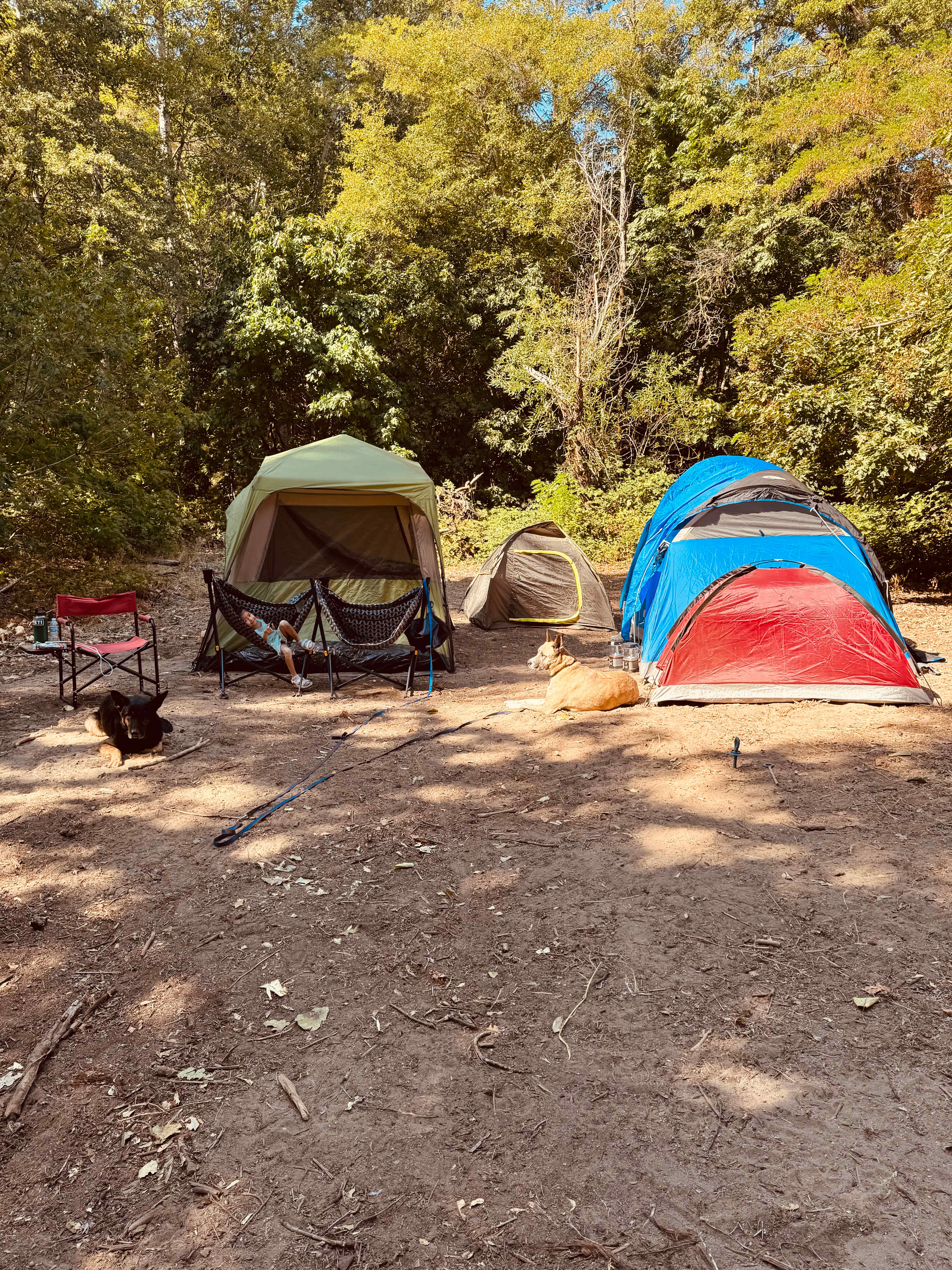 MOSIER CREEK
