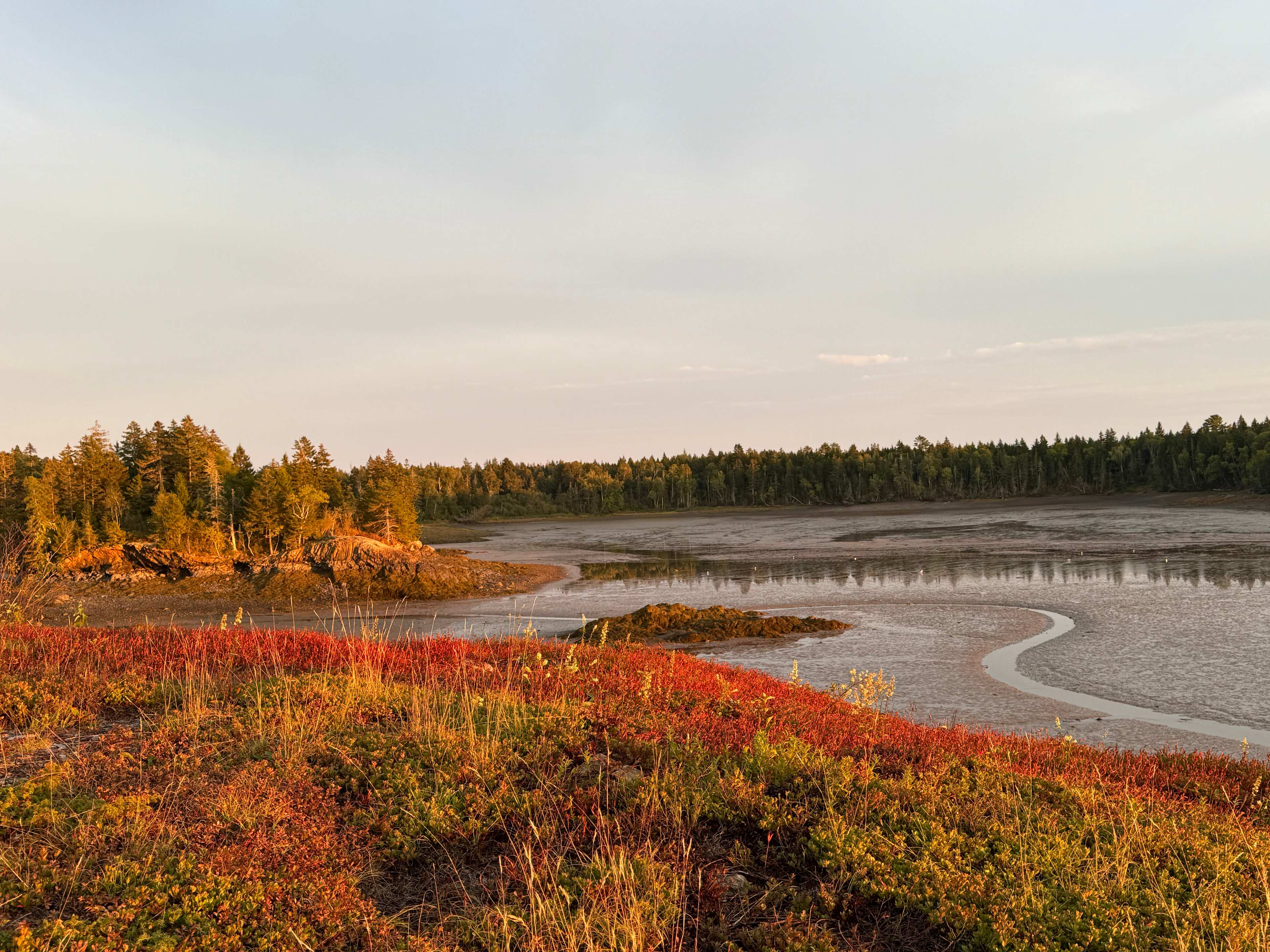 Mouth of the Magaguadavic Camping