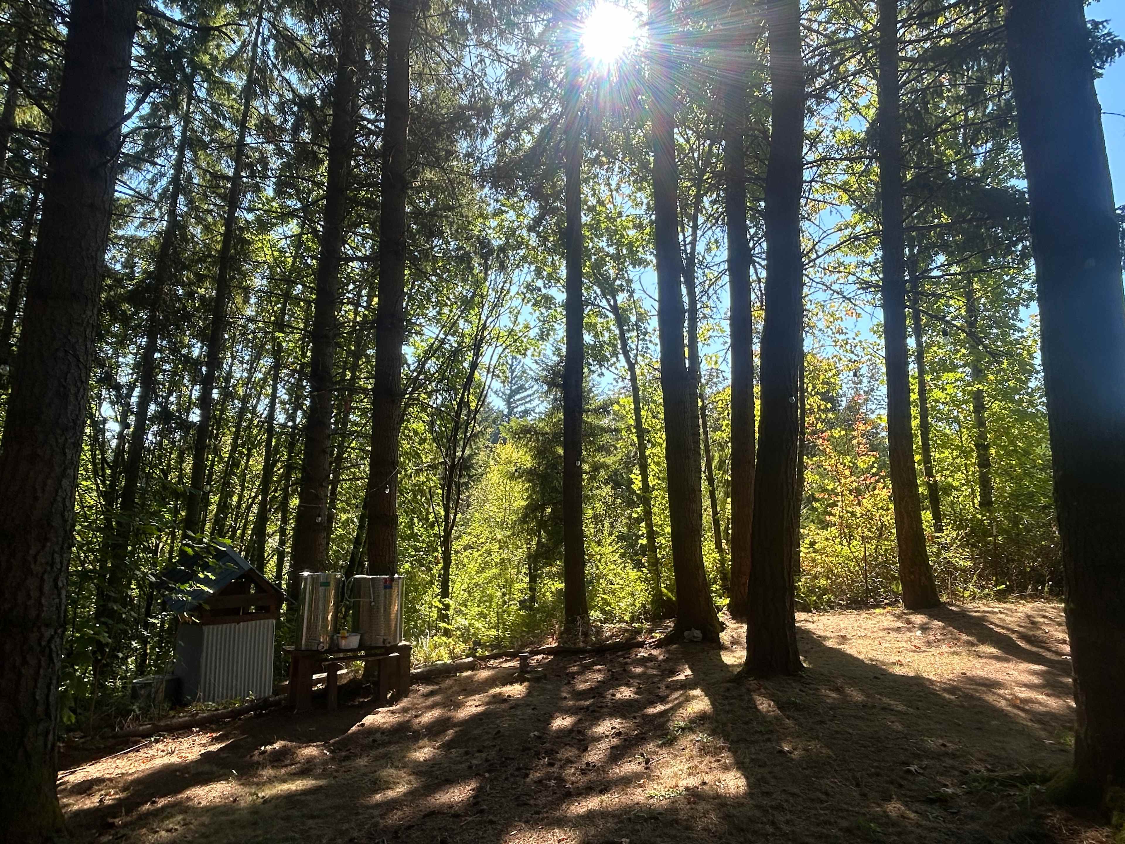 Akitaaru Forest Camp