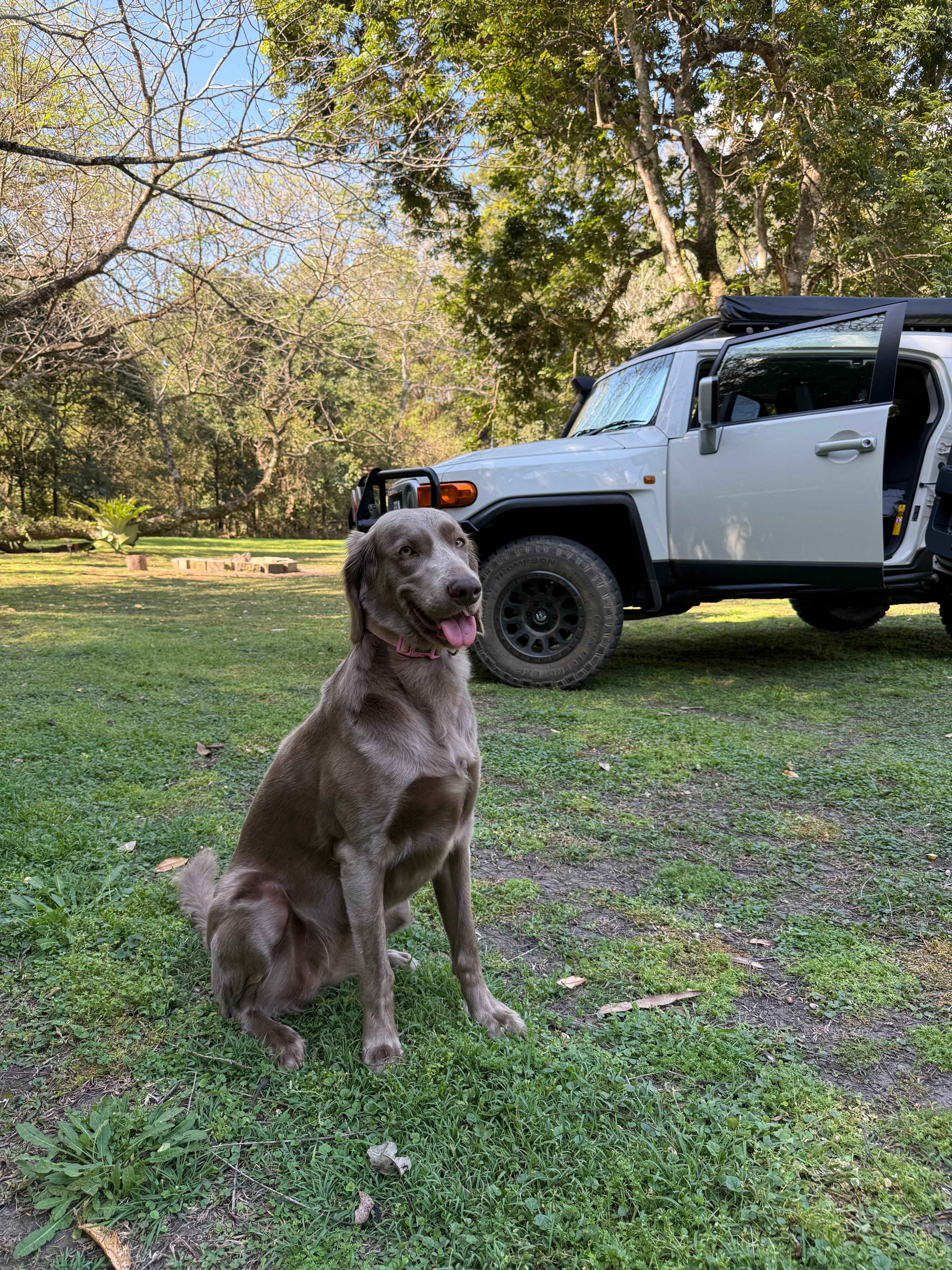 Windyridge Creekside Camp