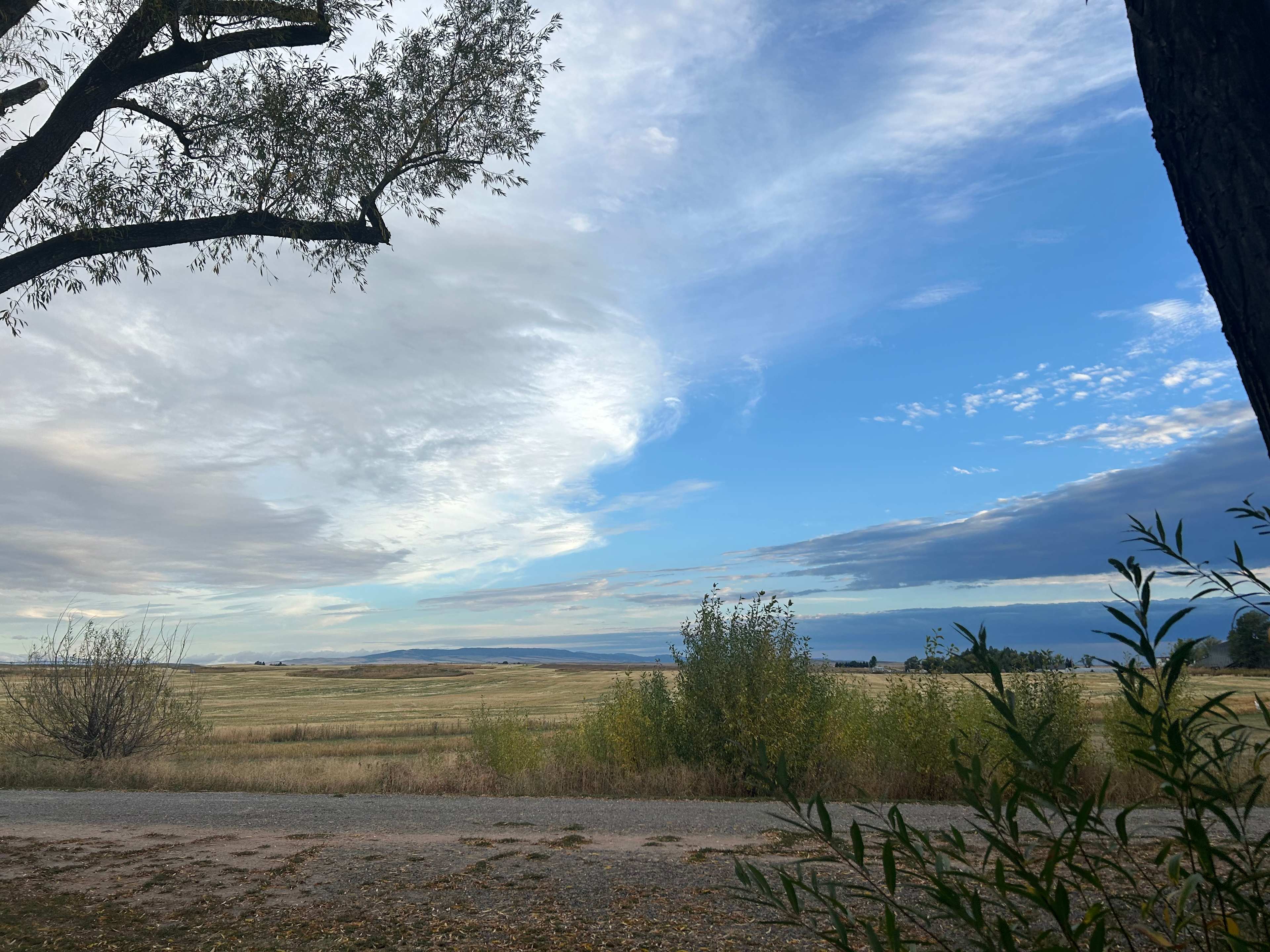 Jolley Camper and Cottages