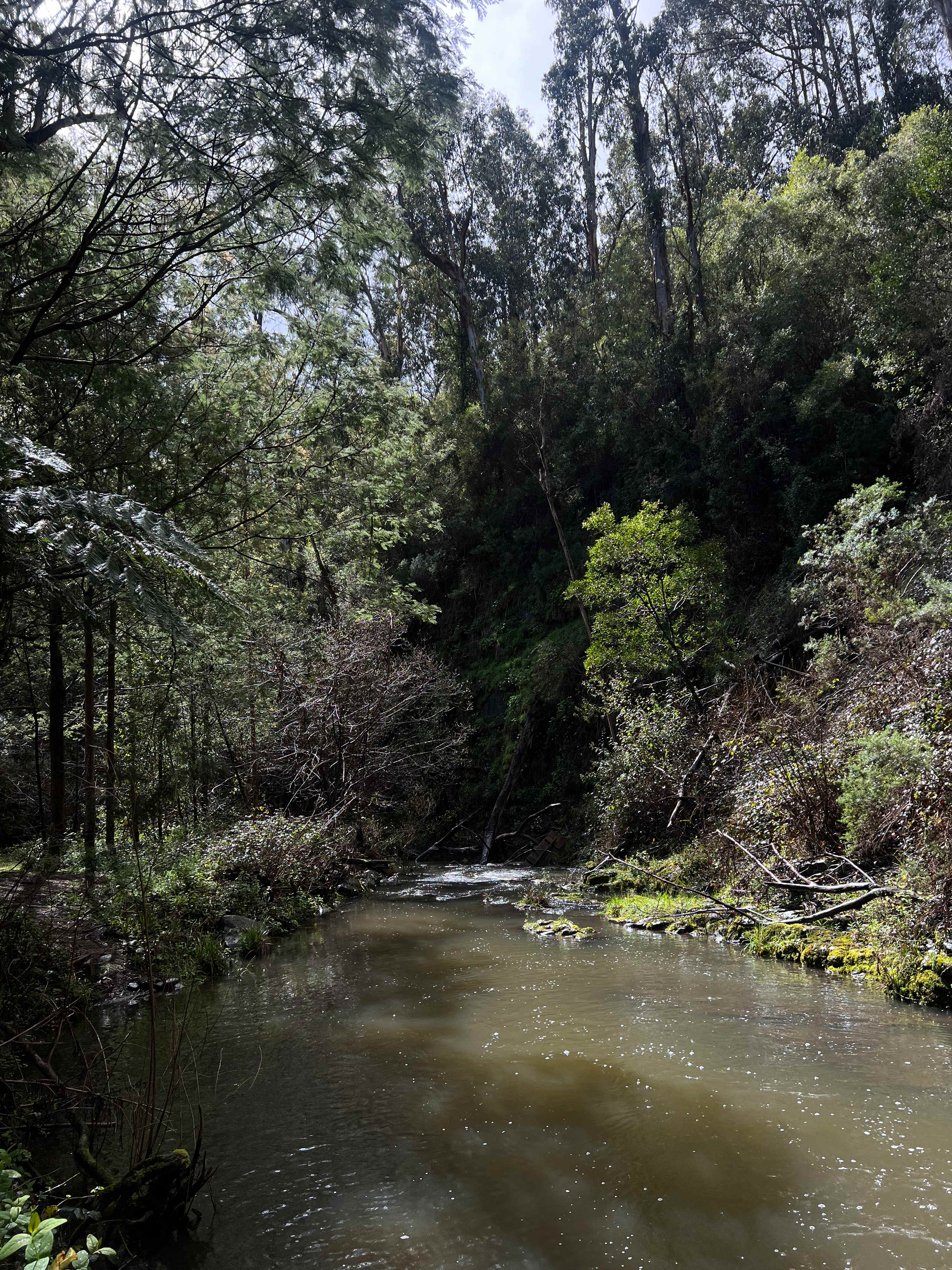 Merrimans Creek Seclusion