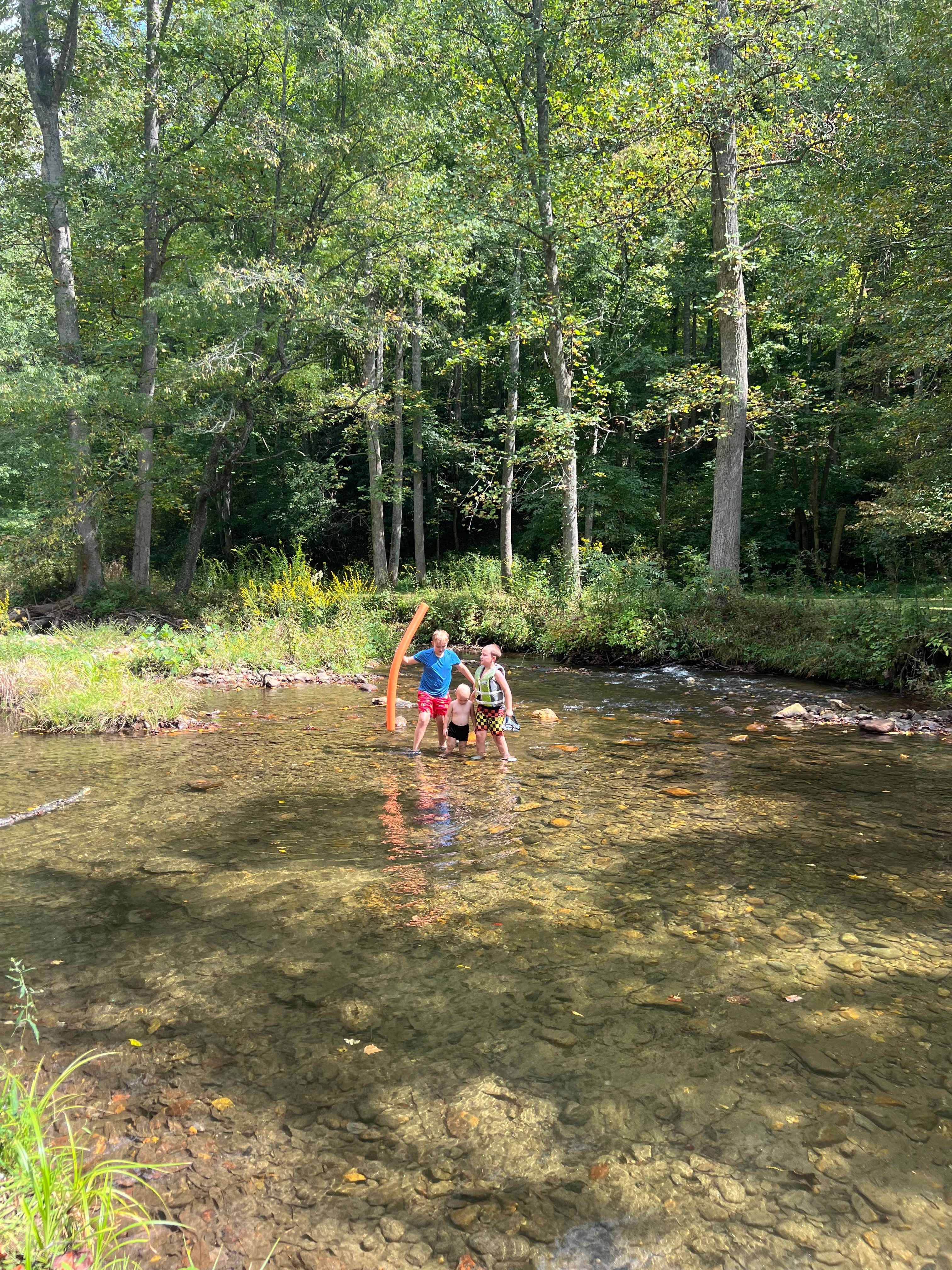 Coweeta Creek Campground