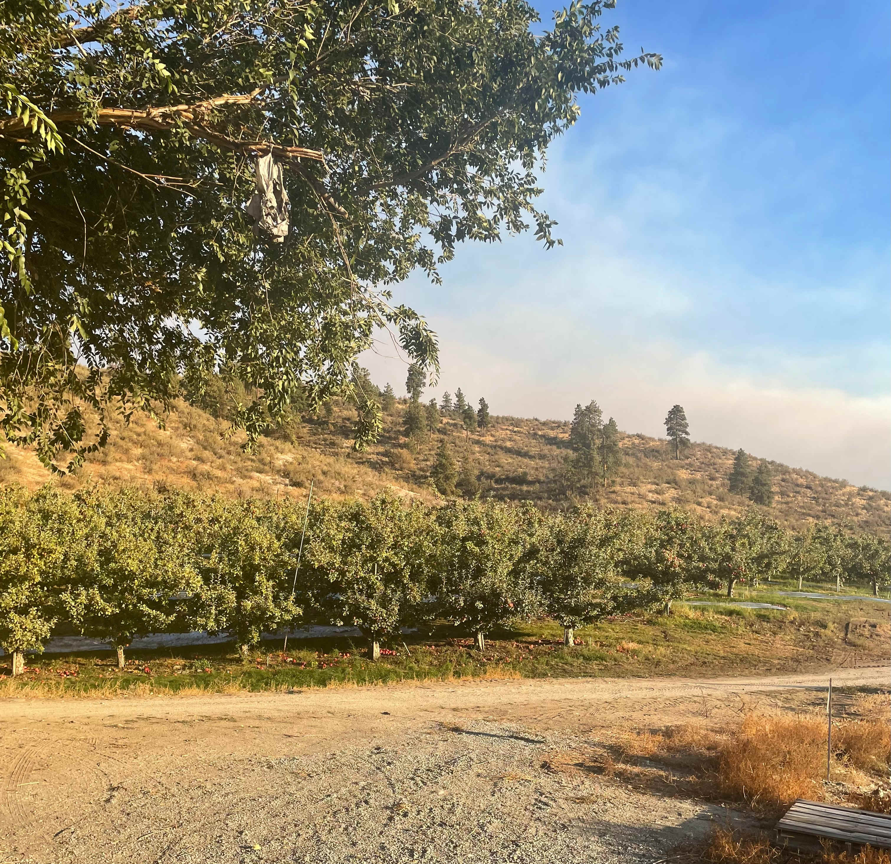 Cheval Cellars BnB Camping