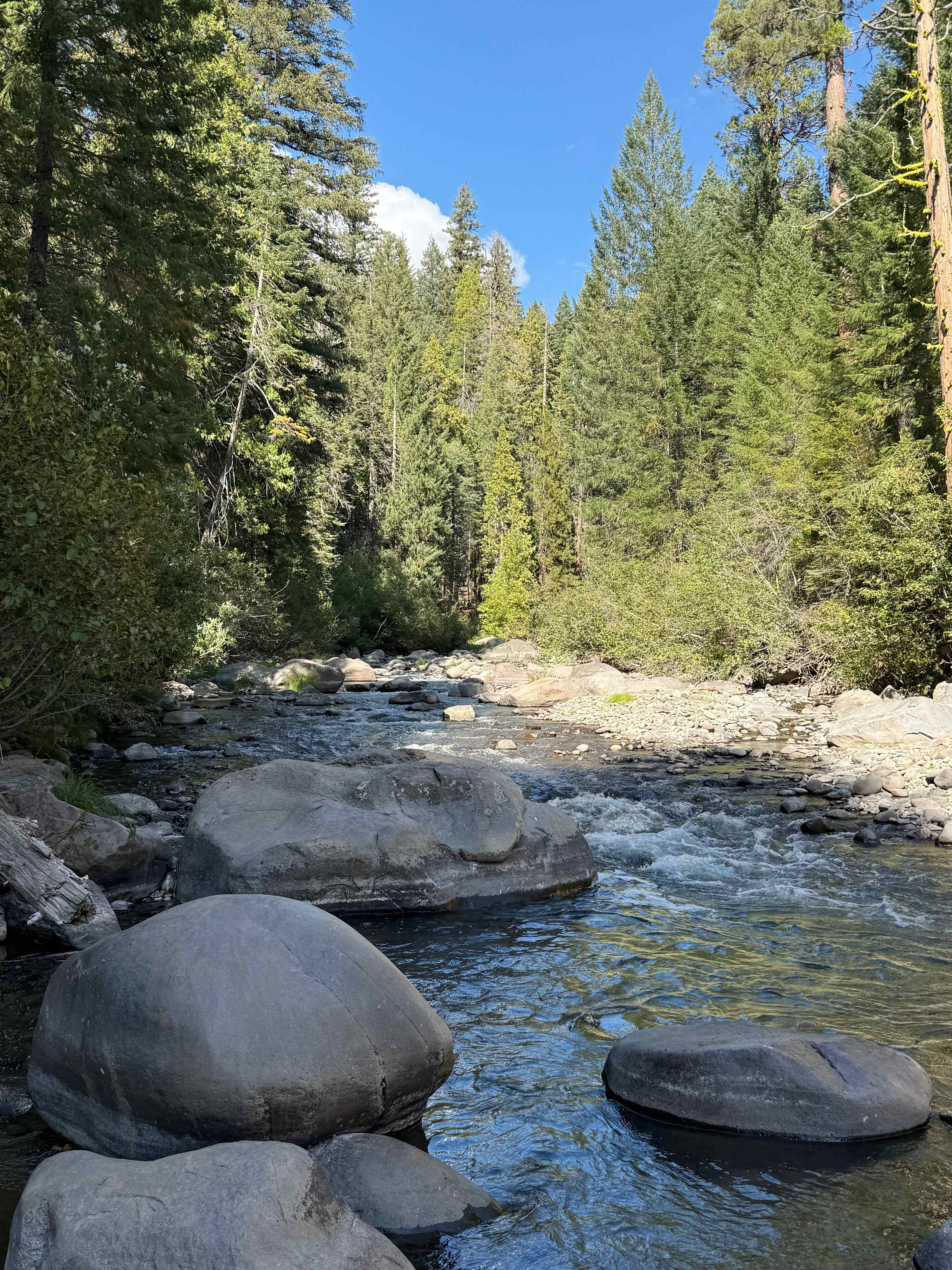 The creek behind site 20