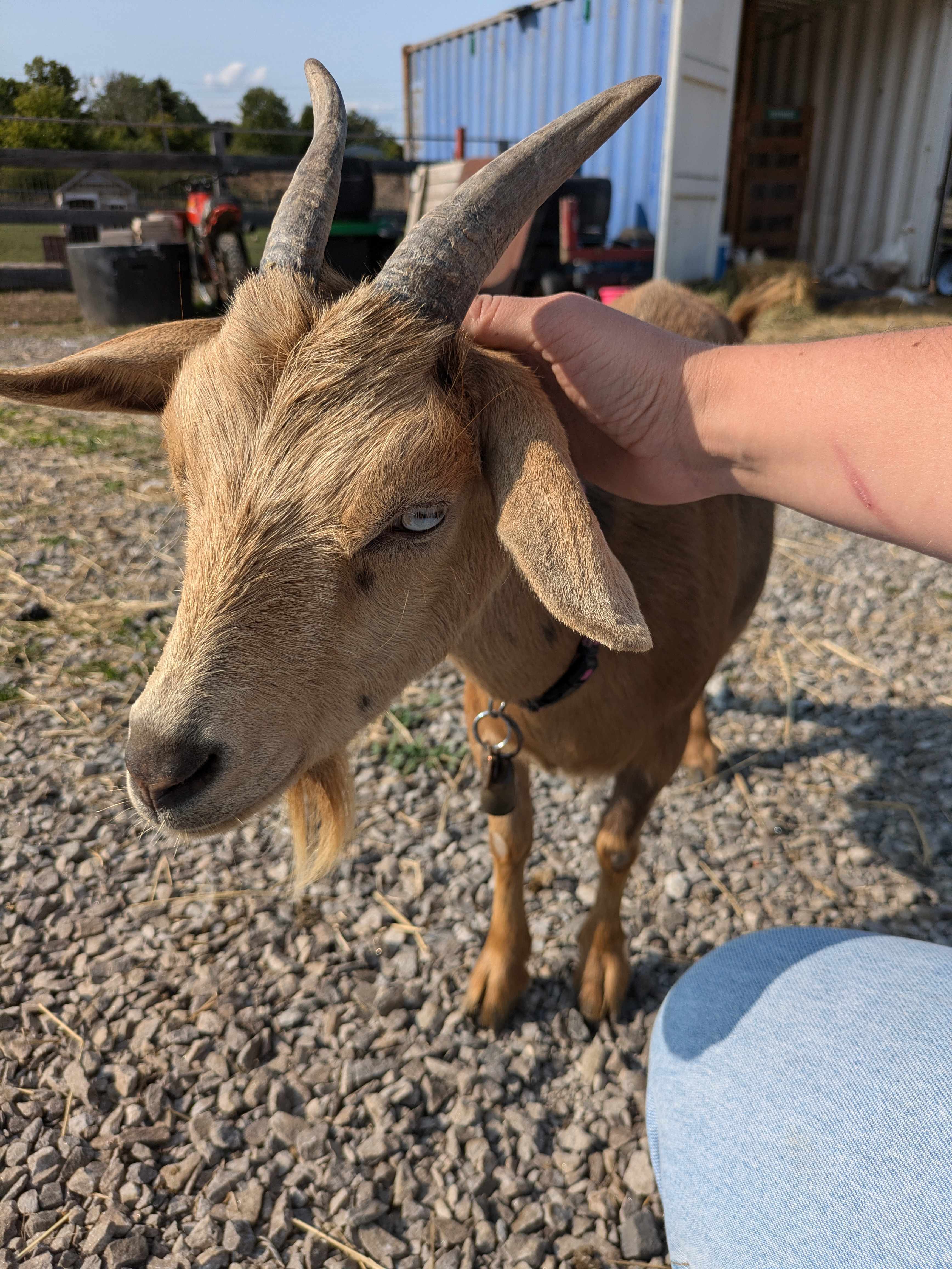 Grindstone Creek Farm in Burlington