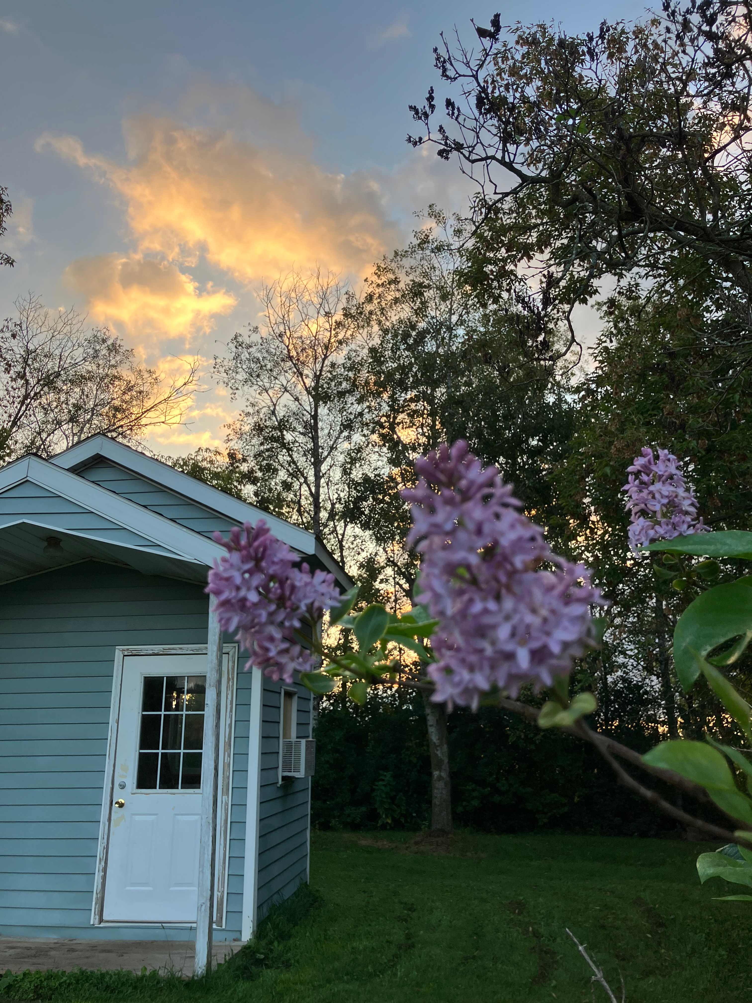 The little cabin