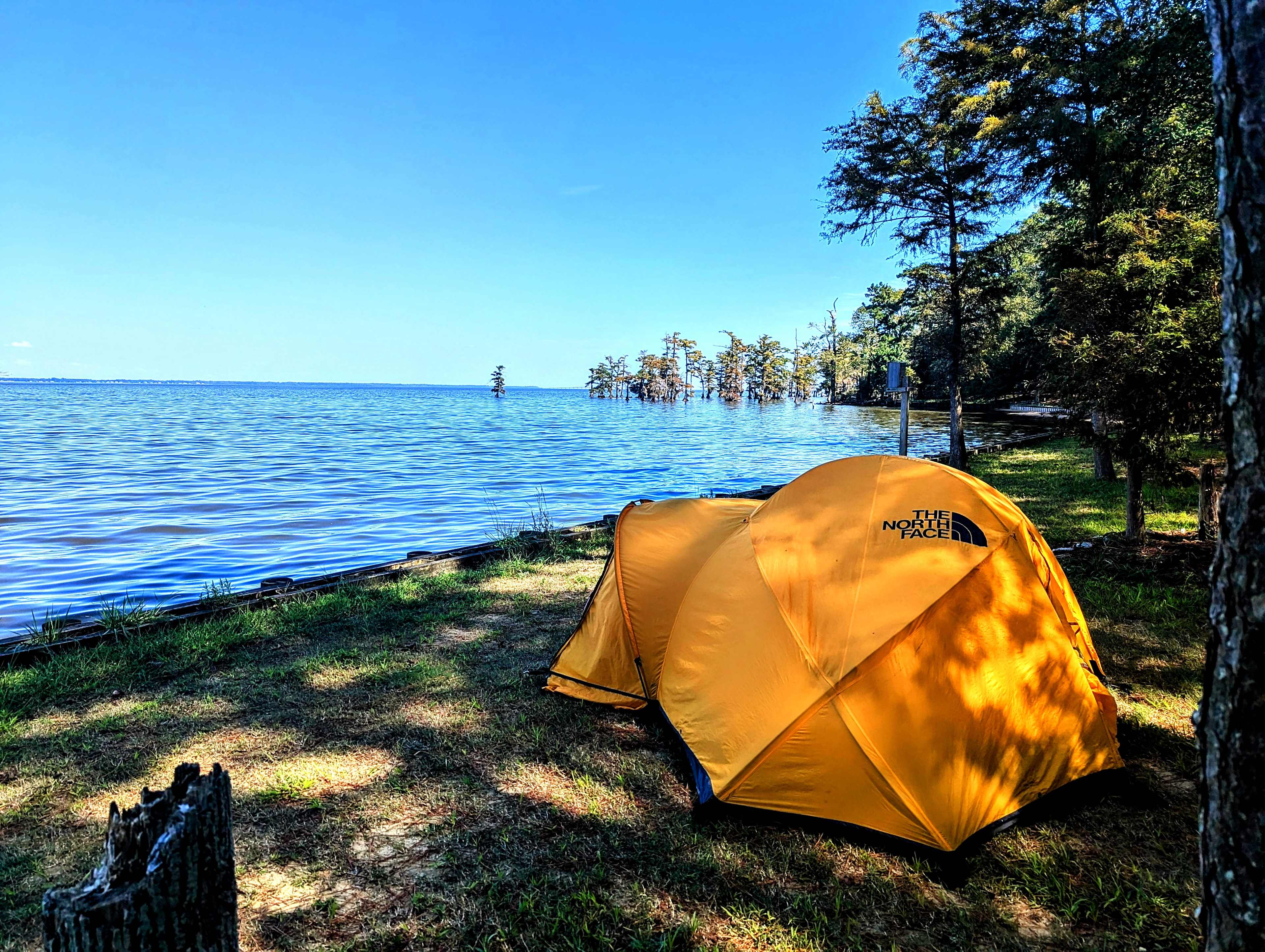 Spruill Conservation Farm