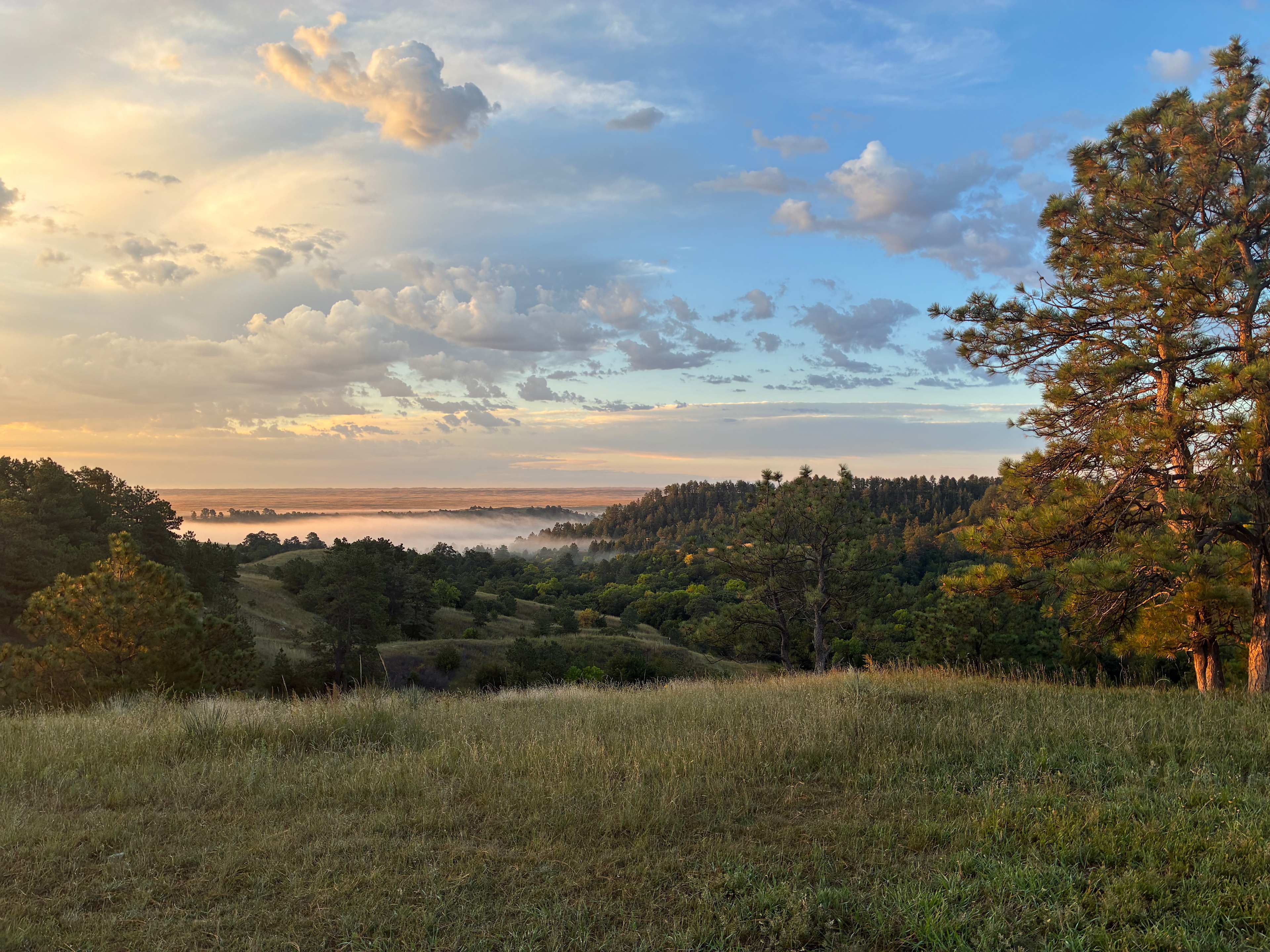Morning fog in the canyon