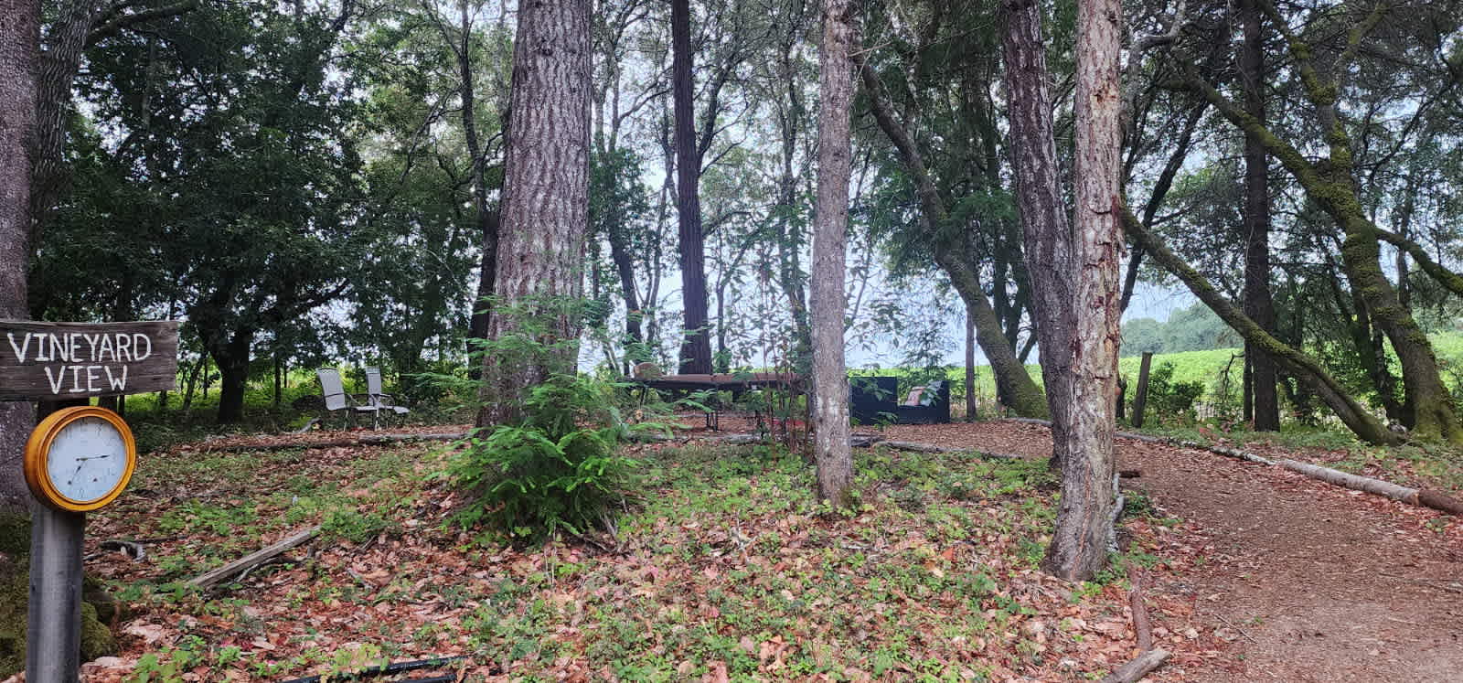 Butterfly Landing🦋🦋🦋